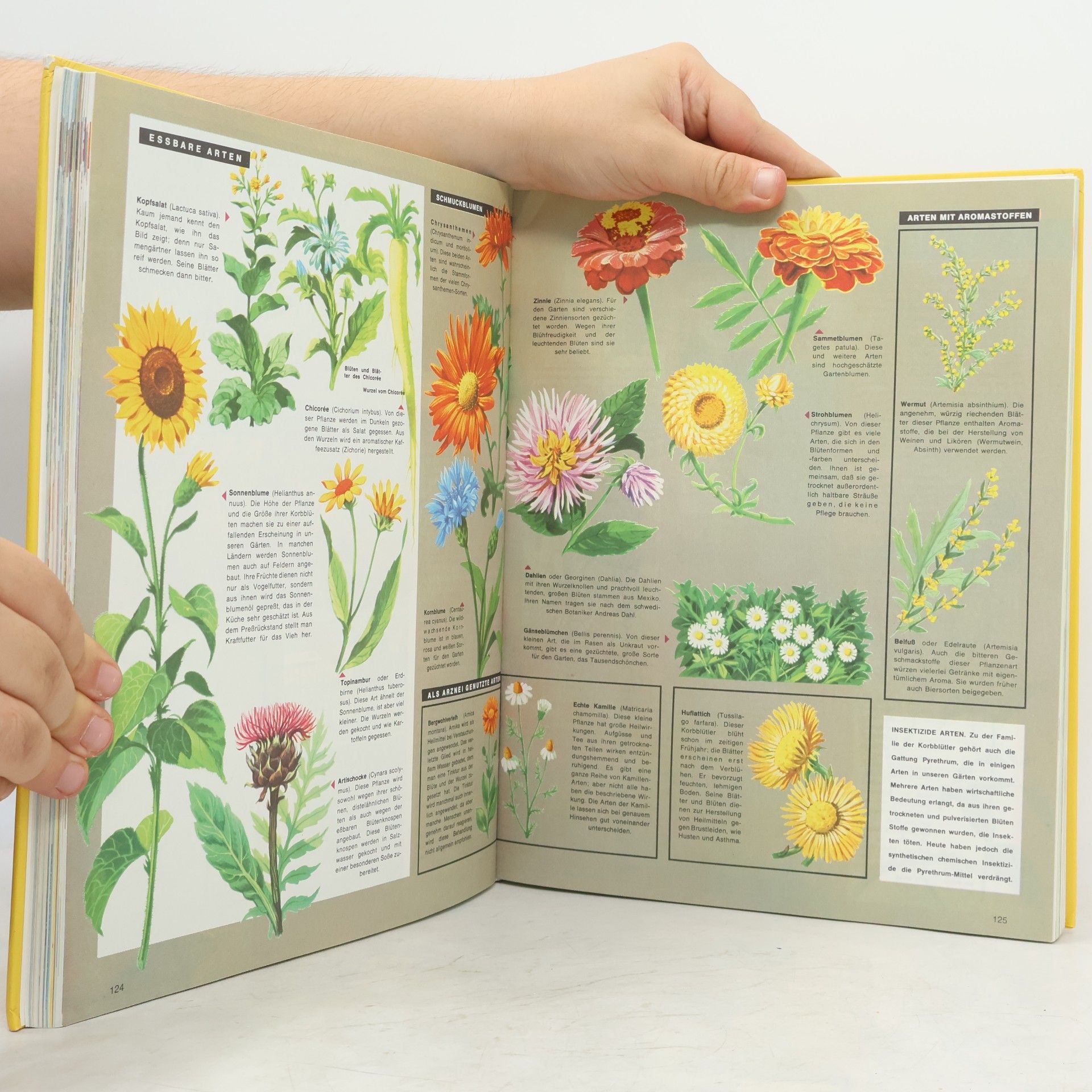 Autores varios Das musst du wissen. Das große Buch des Wissens in Farbe