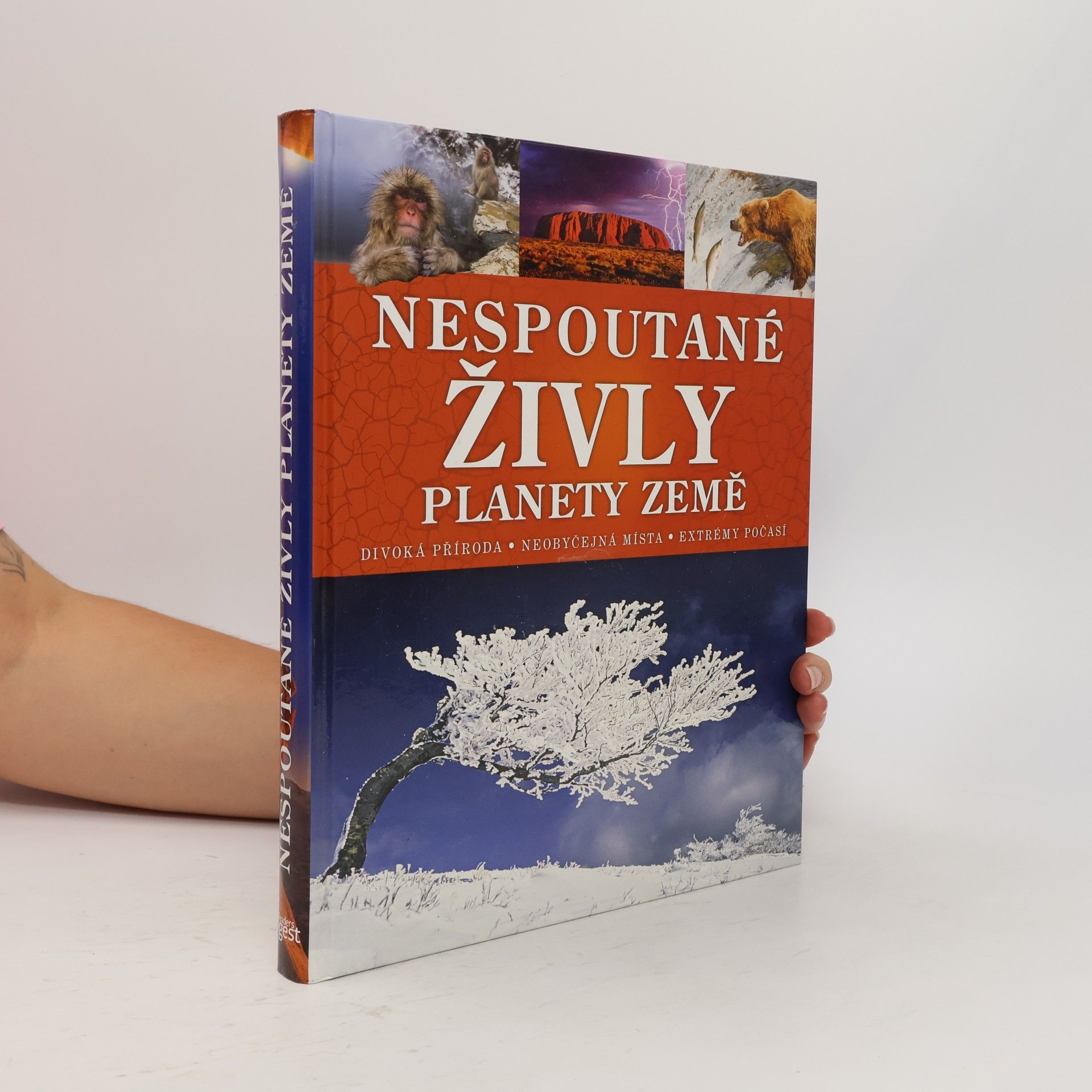 Nespoutané živly planety Země