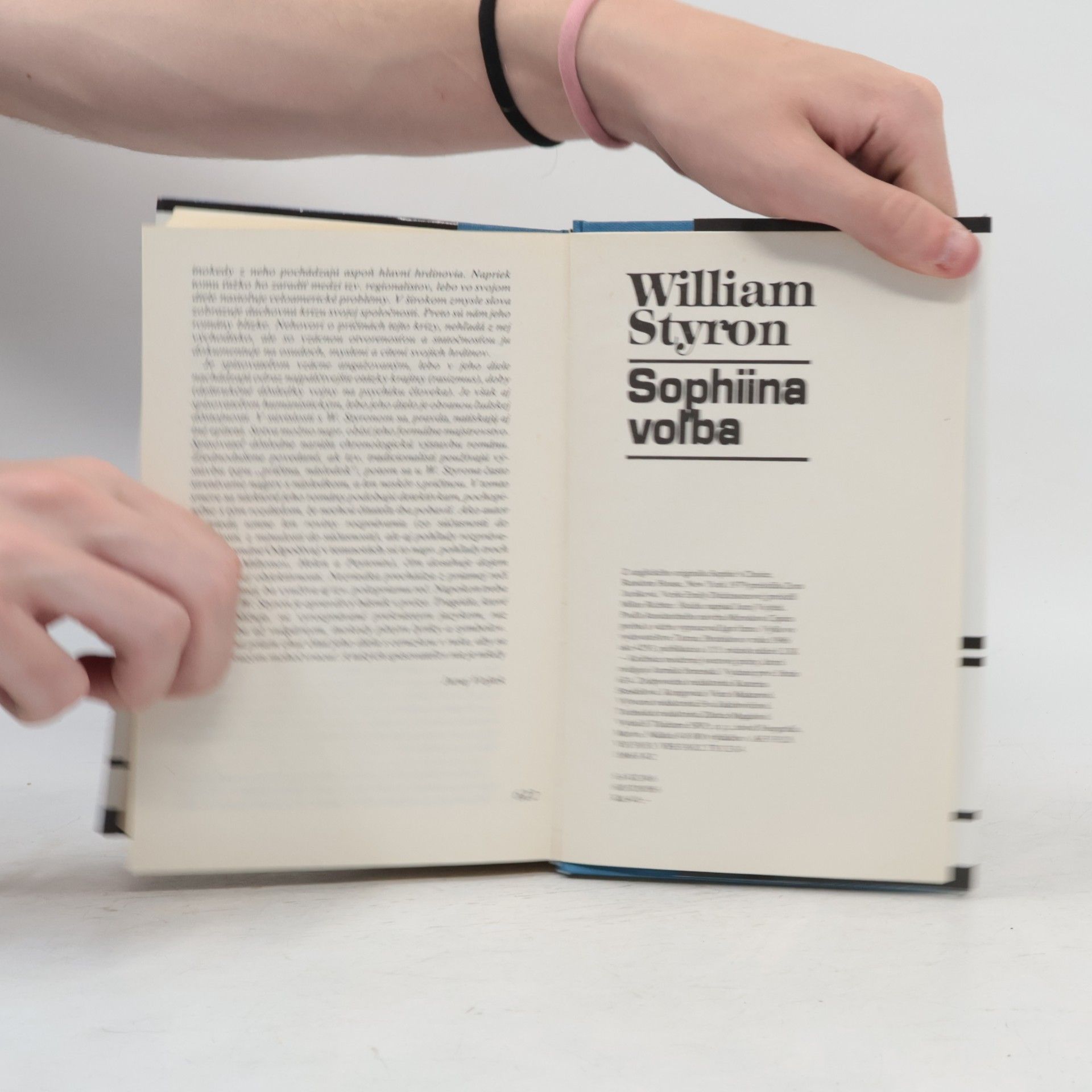 William Styron Sophiina voľba