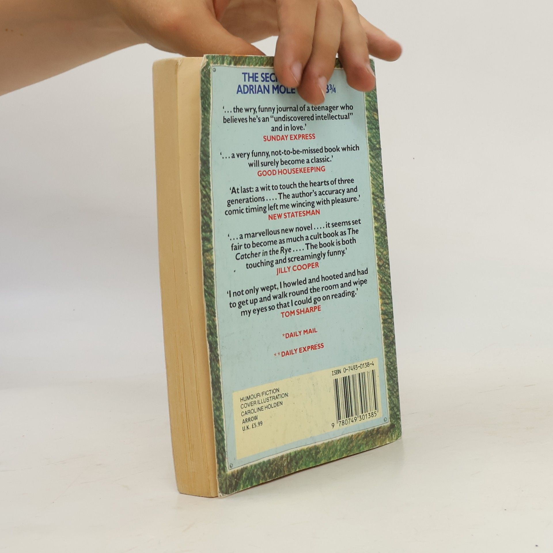 Sue Townsend The Secret Diary of Adrian Mole Aged 13 3/4