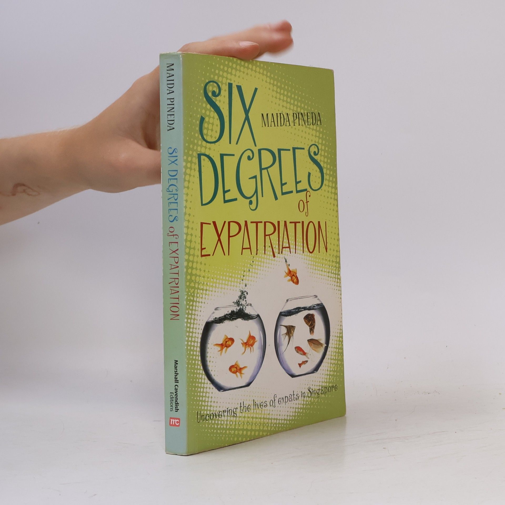Maida Pineda Six Degrees of Expatriation