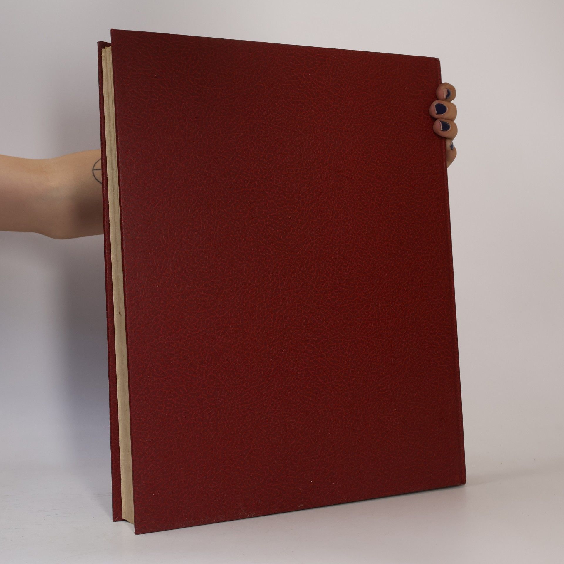 Autores varios The Great Book of Jewels