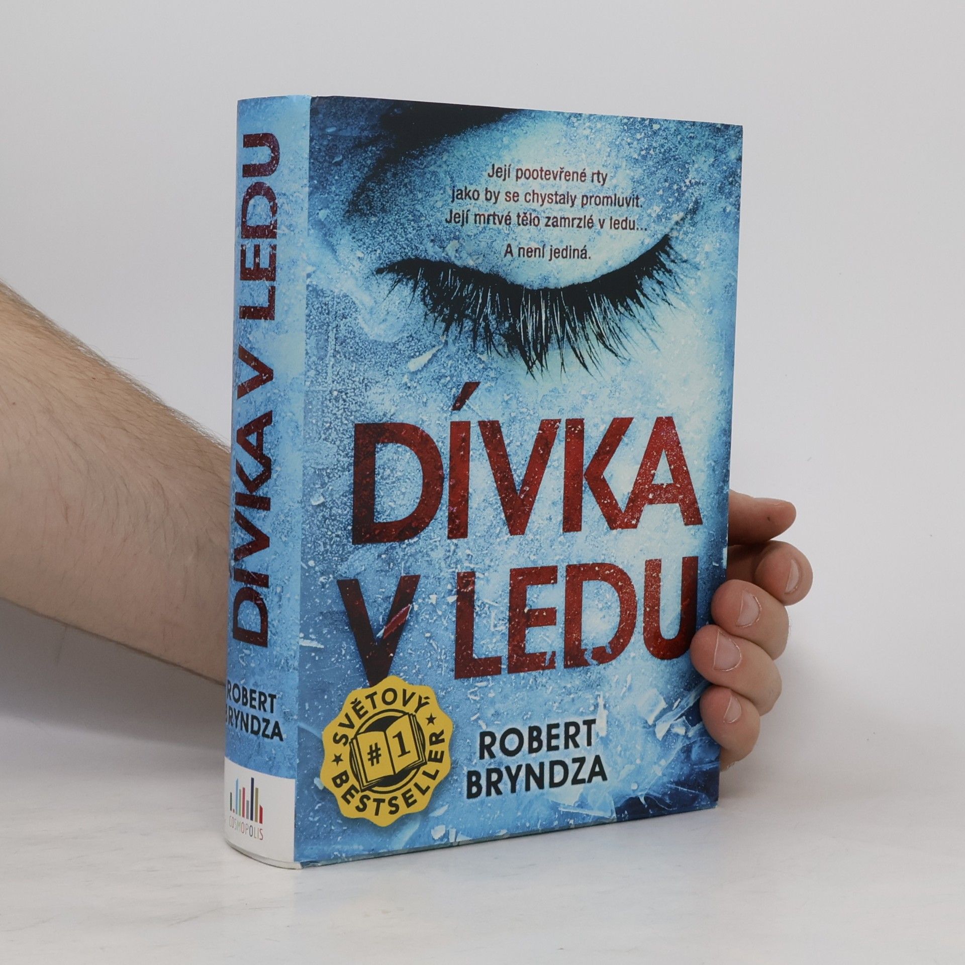 Robert Bryndza Dívka v ledu