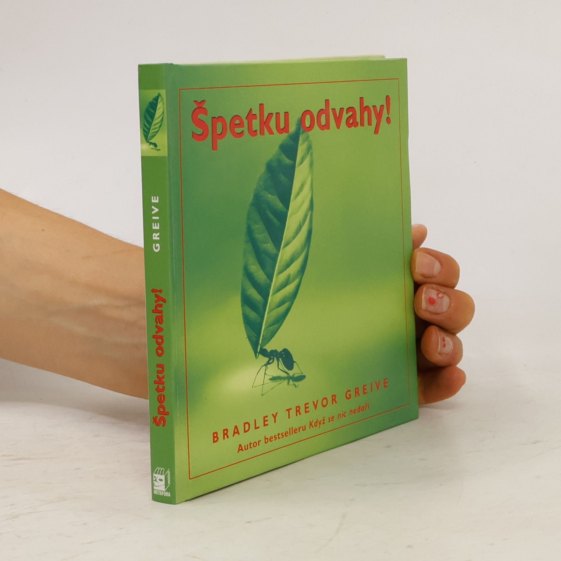 Bradley Trevor Greive Špetku odvahy!