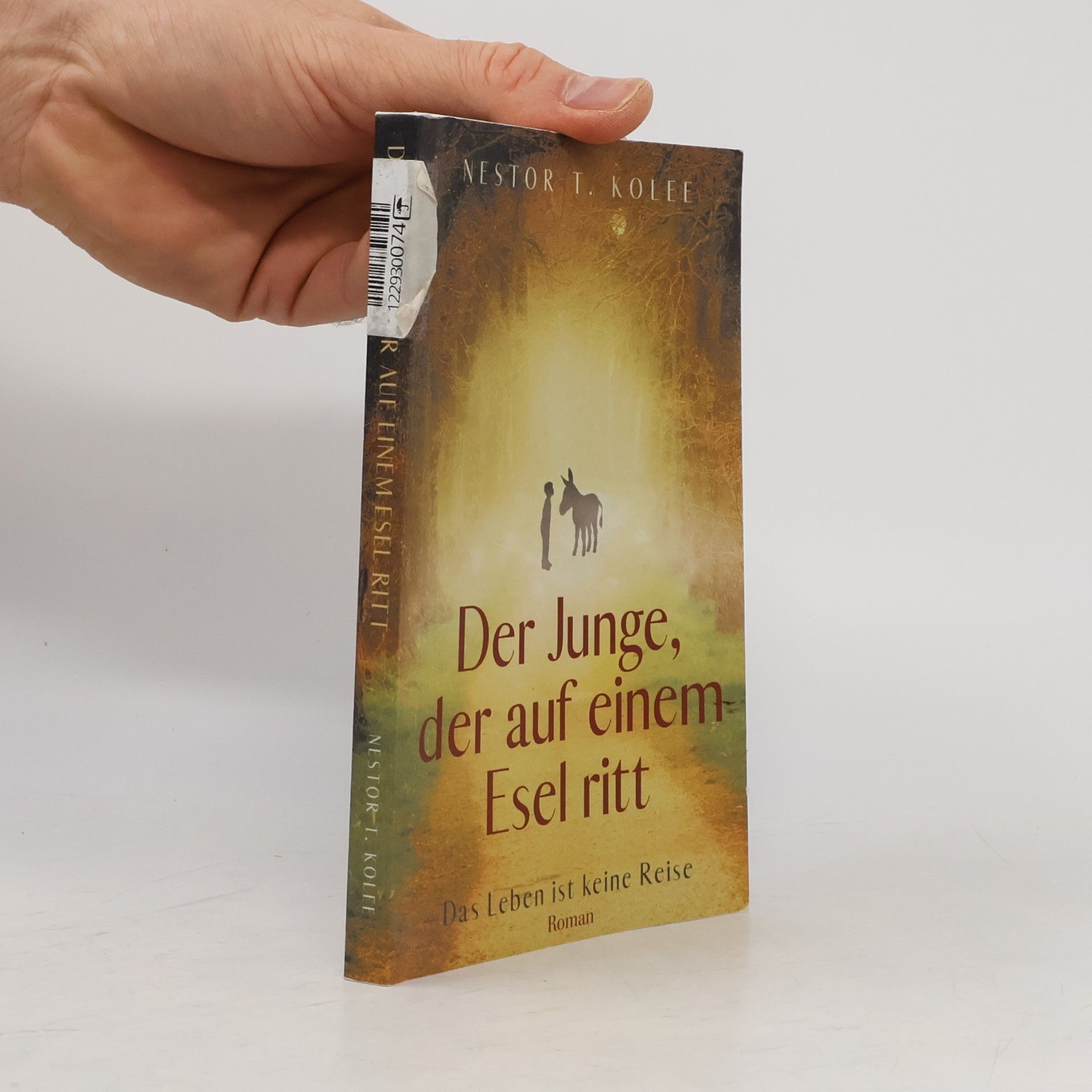 Nestor T. Kolee Junge, der Auf Einem Esel ritt