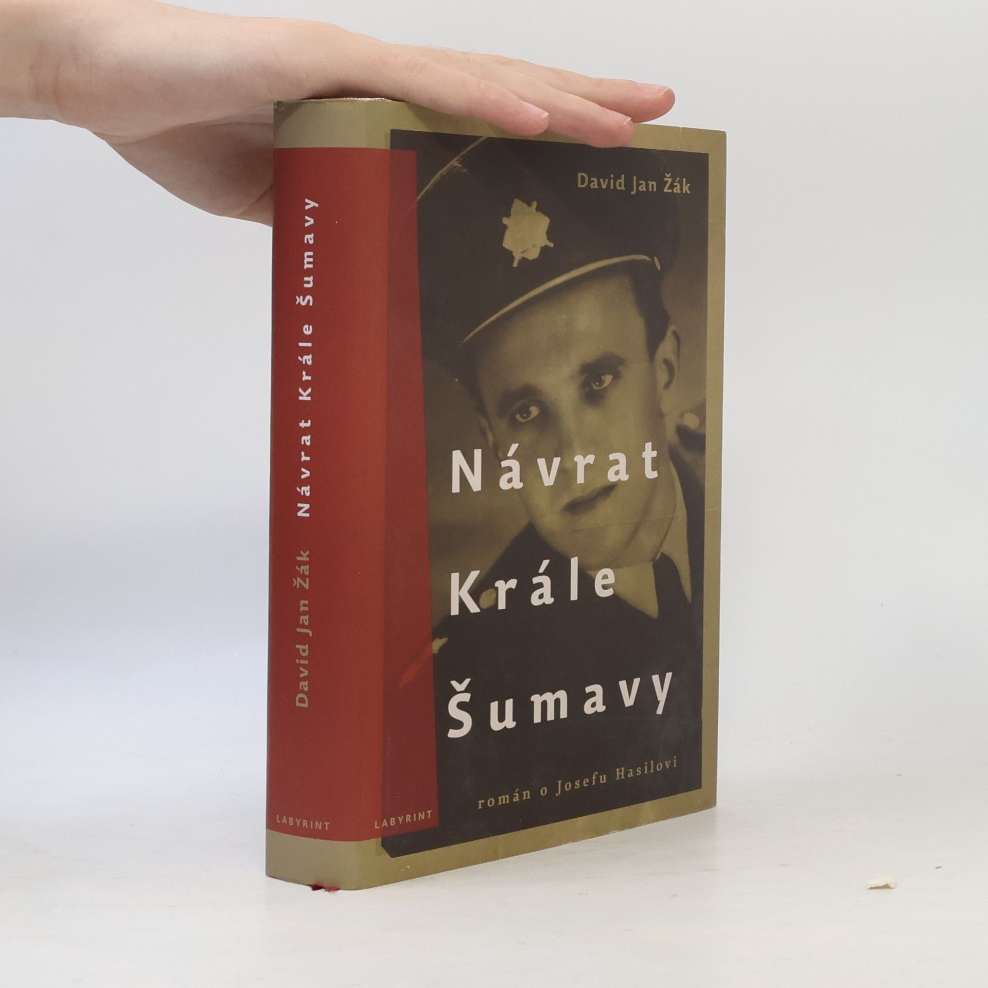 David Jan Žák Návrat Krále Šumavy