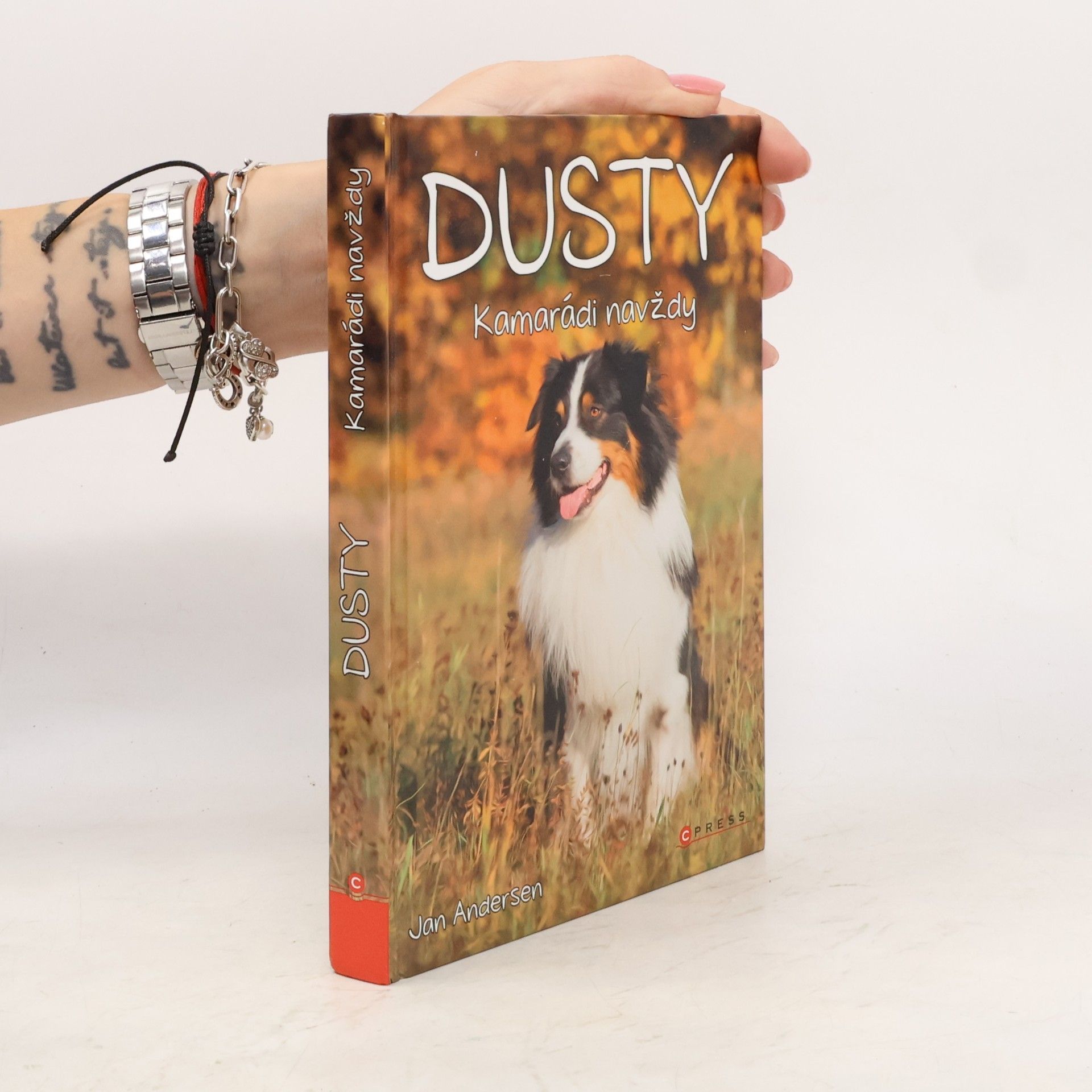 Wolfram Hänel Dusty: Kamarádi navždy