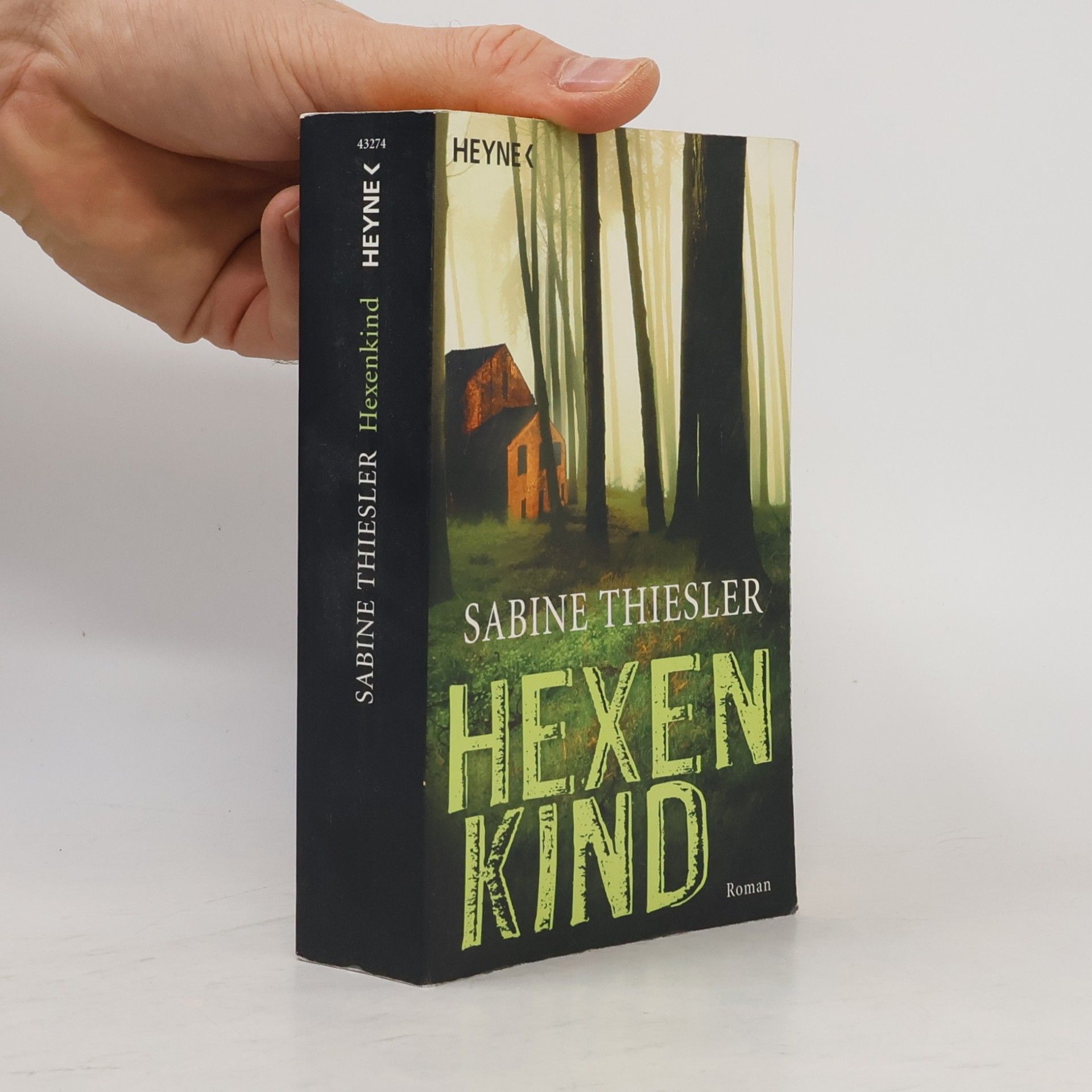 Sabine Thiesler Hexenkind - Roman