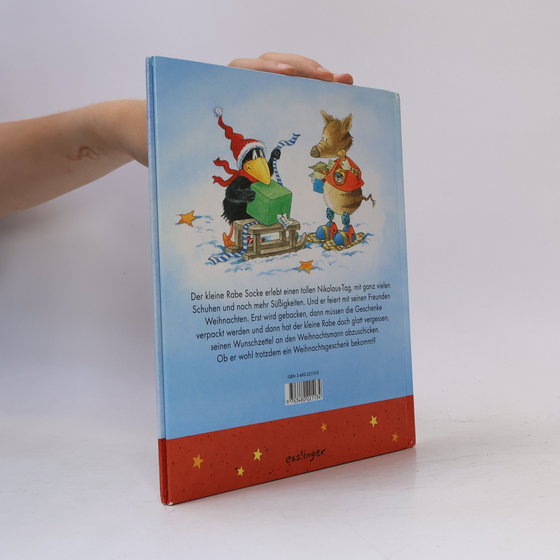 Nele Moost Alles Weihnachten mit dem kleinen Raben Socke