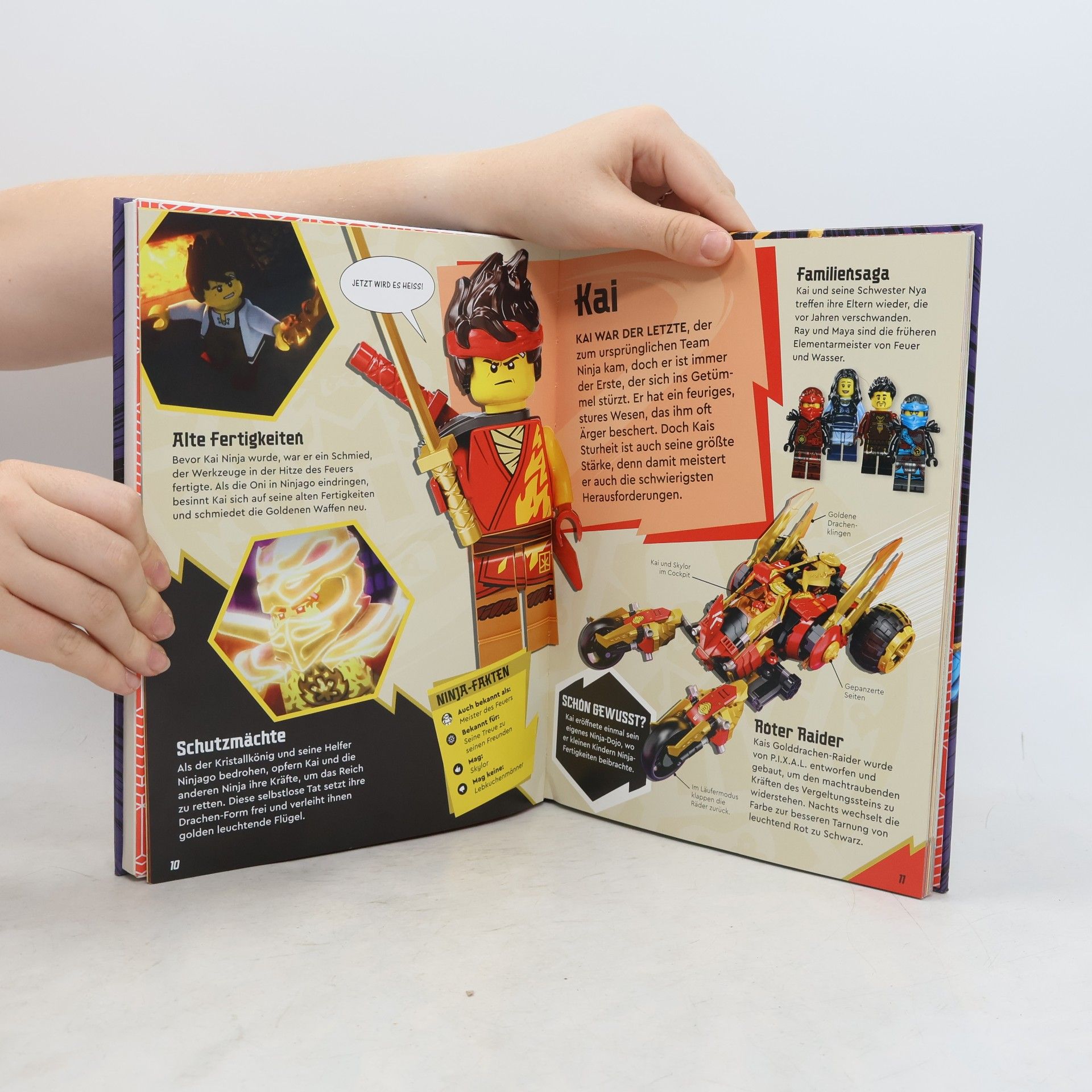 Shari Last LEGO® NINJAGO® Die geheime Welt der Ninja