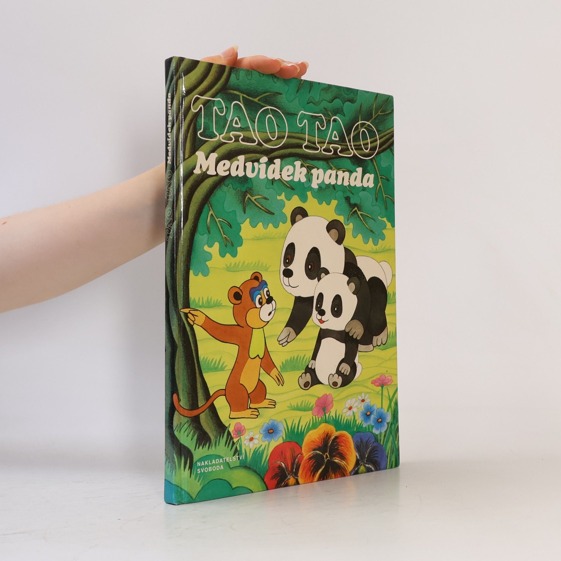 Kolektiv autorů Tao Tao. Medvídek panda