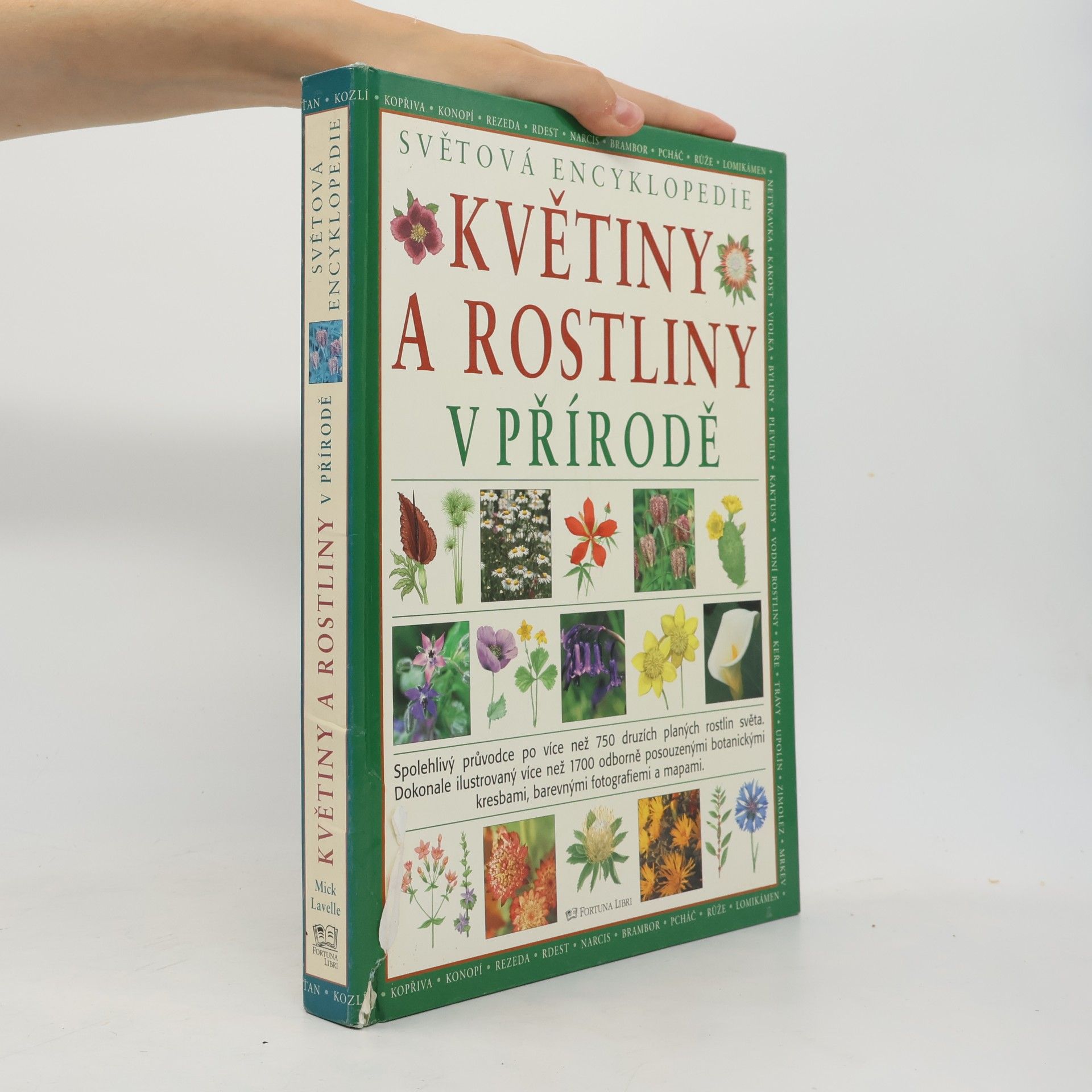 Mike Atkinson Květiny a rostliny v přírodě