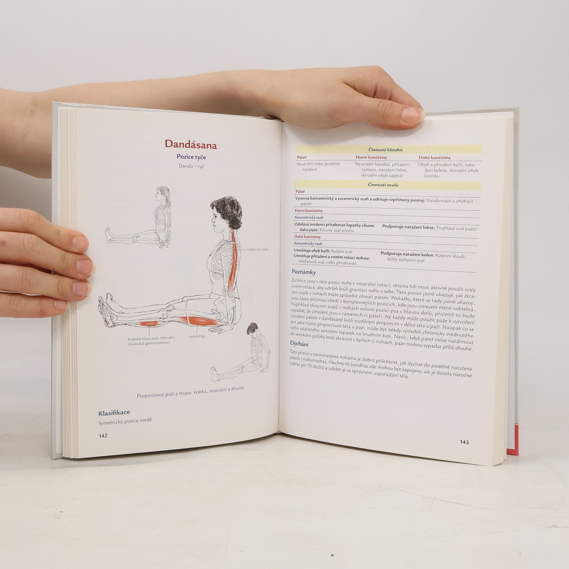 Leslie Kaminoff Jóga. Anatomie