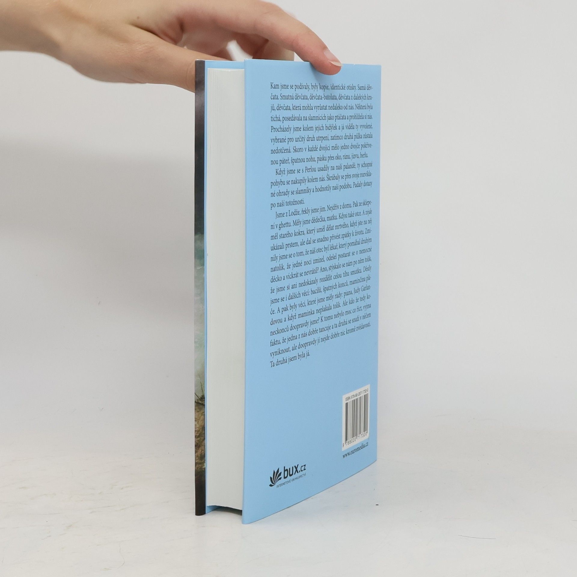 Affinity Konar Mischling