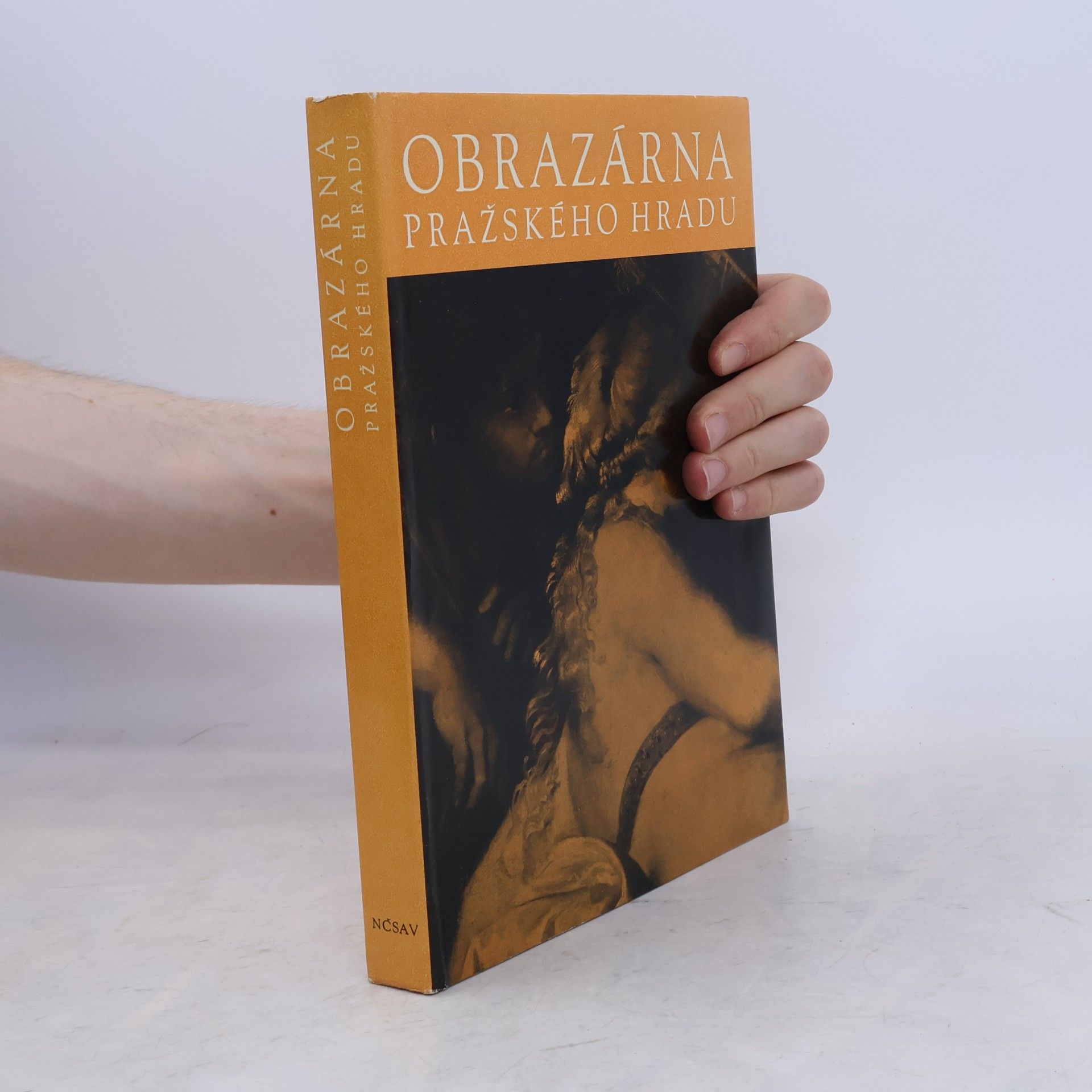 Jaromír Neumann Obrazárna Pražského hradu
