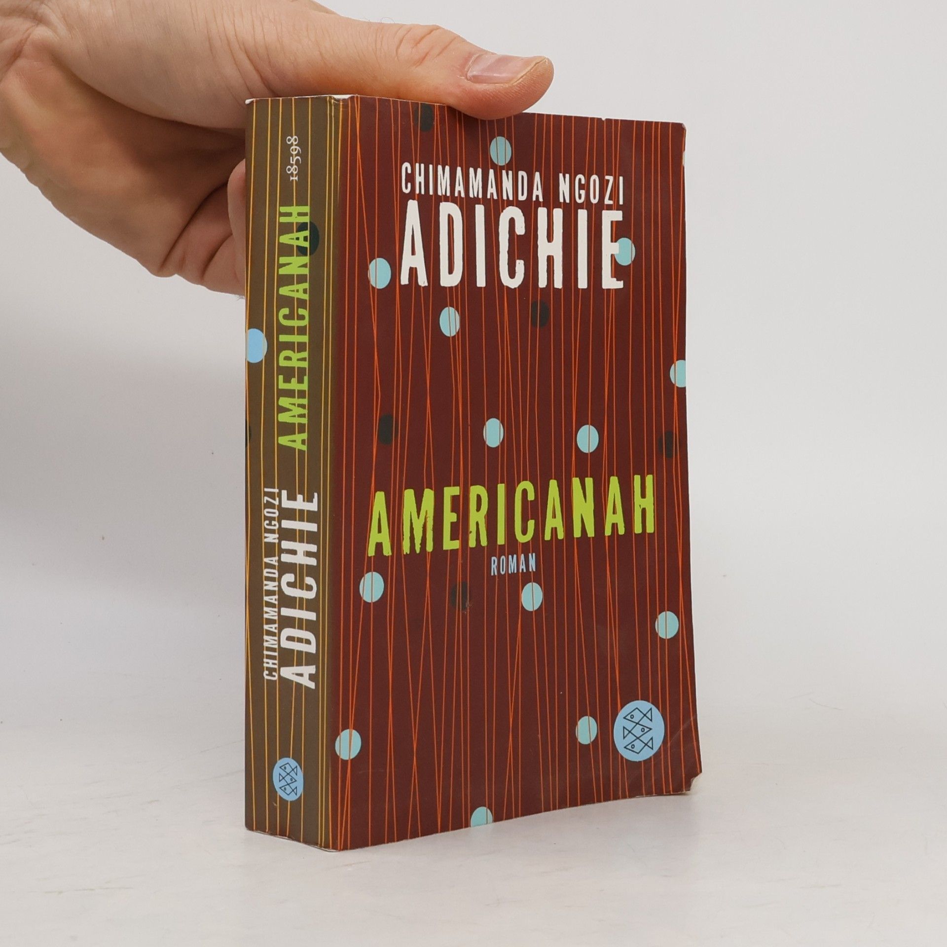 Chimamanda Ngozi Adichie Americanah