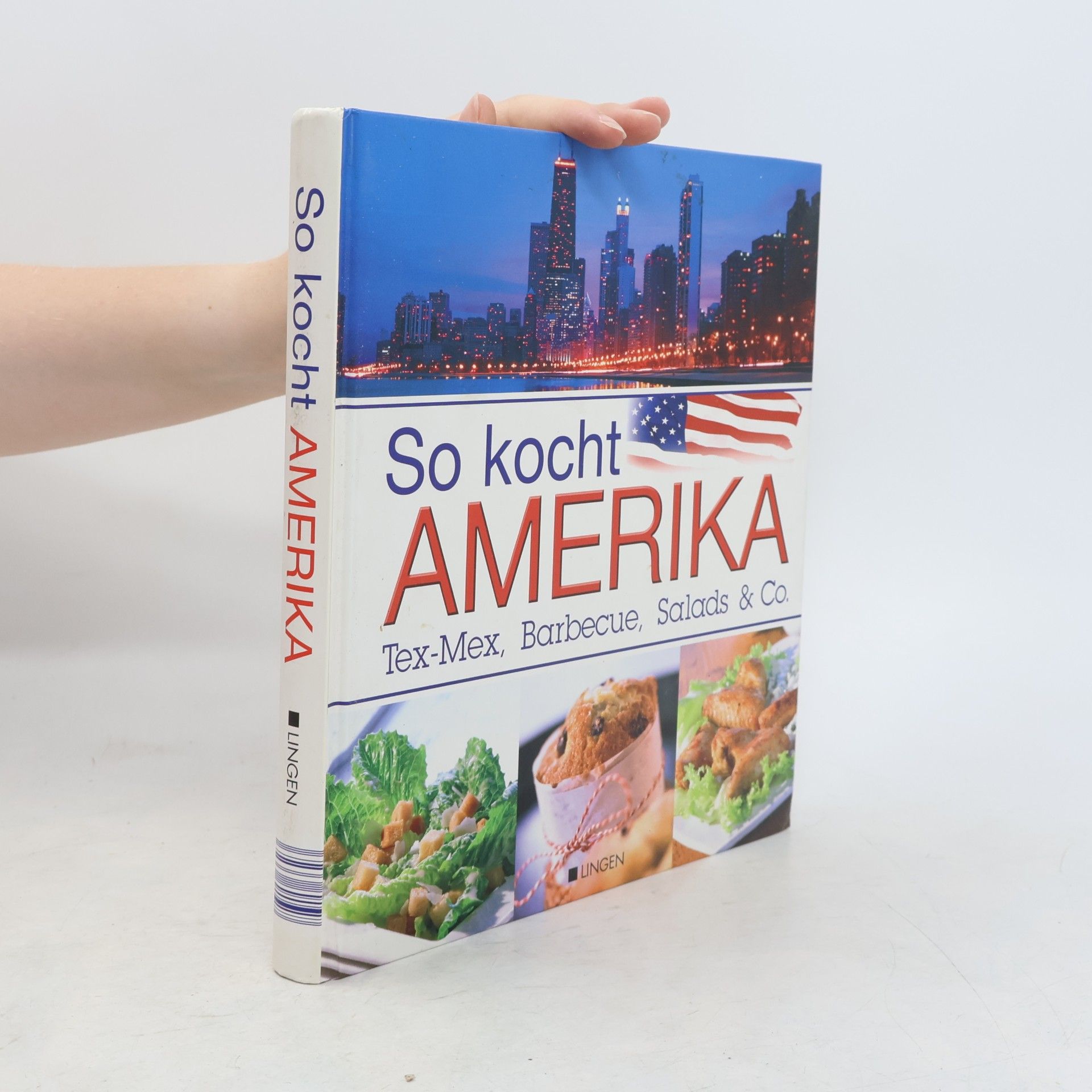 Autorenkollektiv So kocht Amerika. Tex-Mex, Barnecue, Salads & Co.
