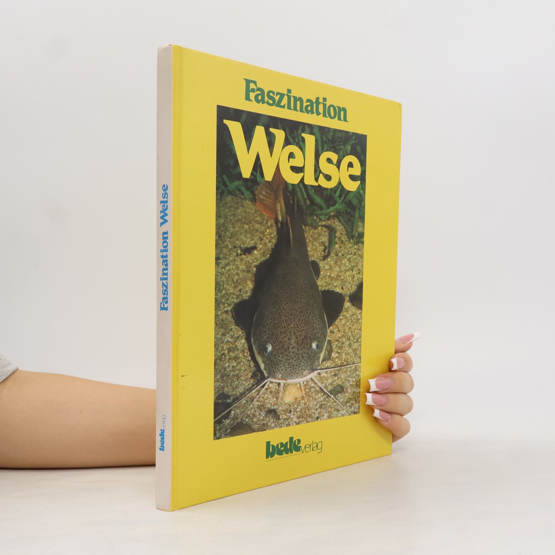 Midori Kobayagawa Faszination Welse