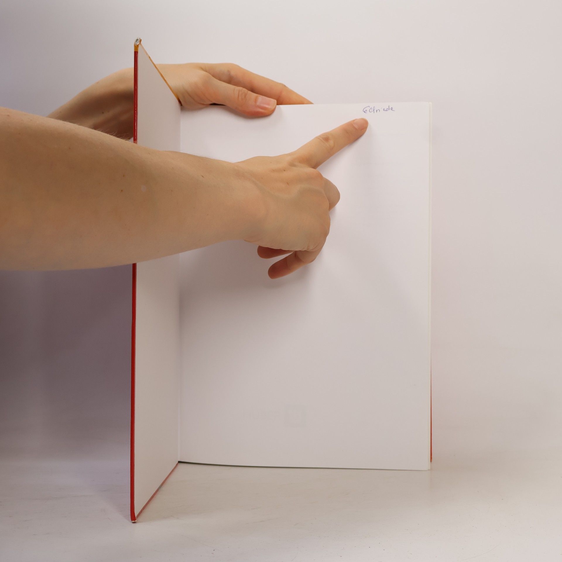 Elisabeth Blunier Lehrbuch Pflegeassistenz