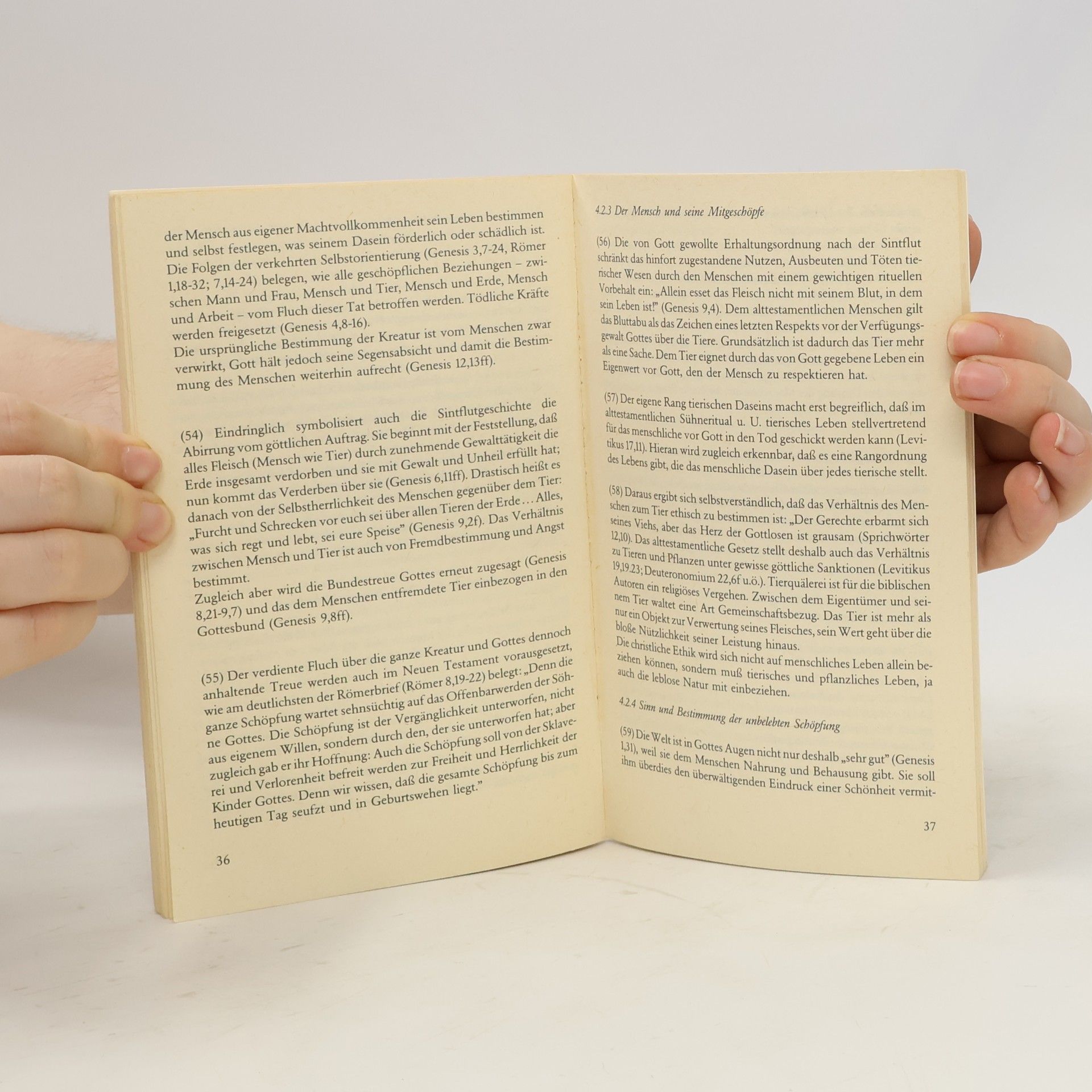 Autorenkollektiv Verantwortung Wahrnehmen Für Die Schöpfung