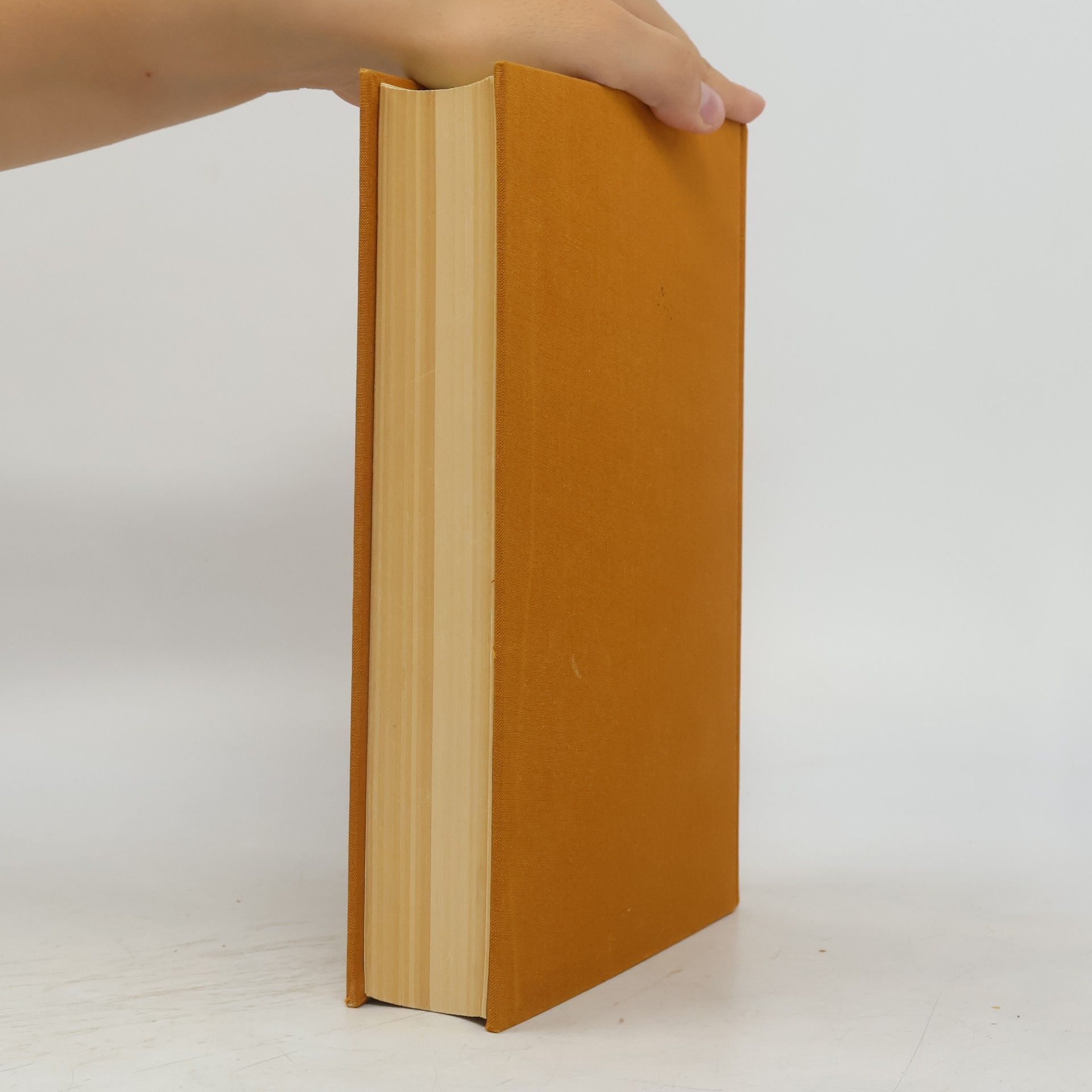 Autorenkollektiv Handbuch der Verkündigung 1