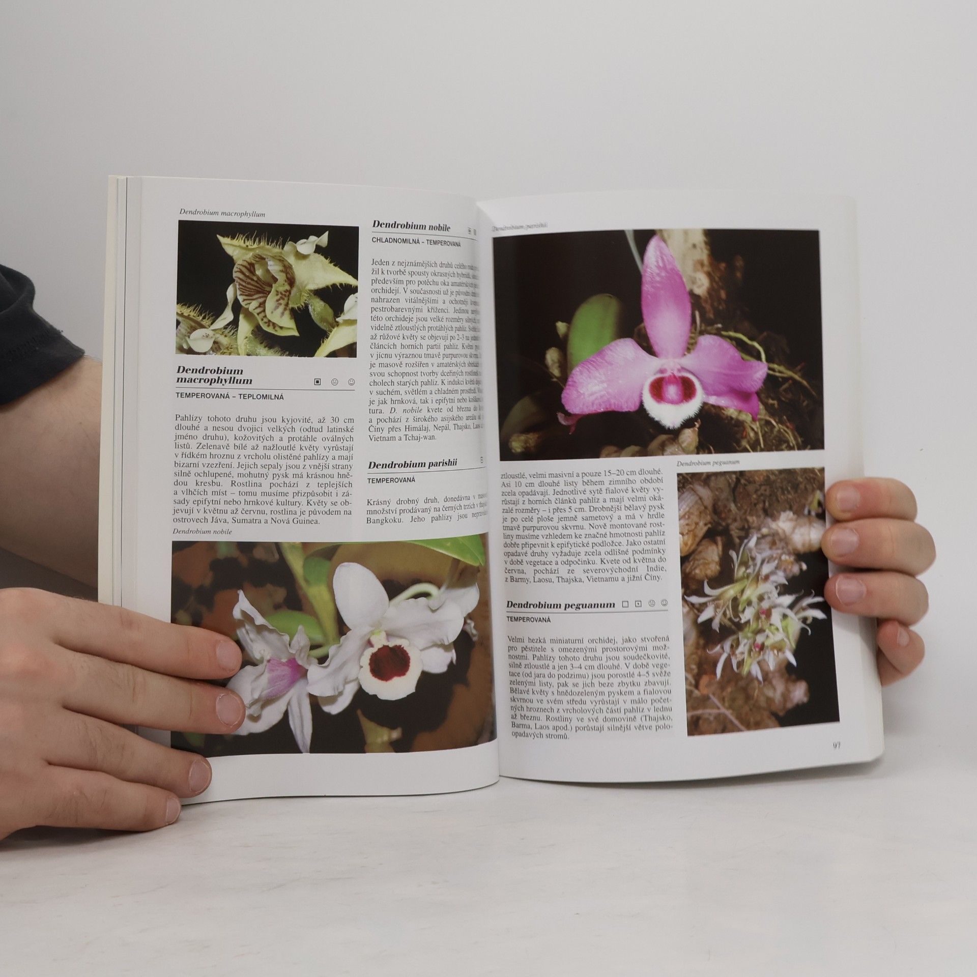 Zdeněk Ježek Encyklopedie - Orchideje