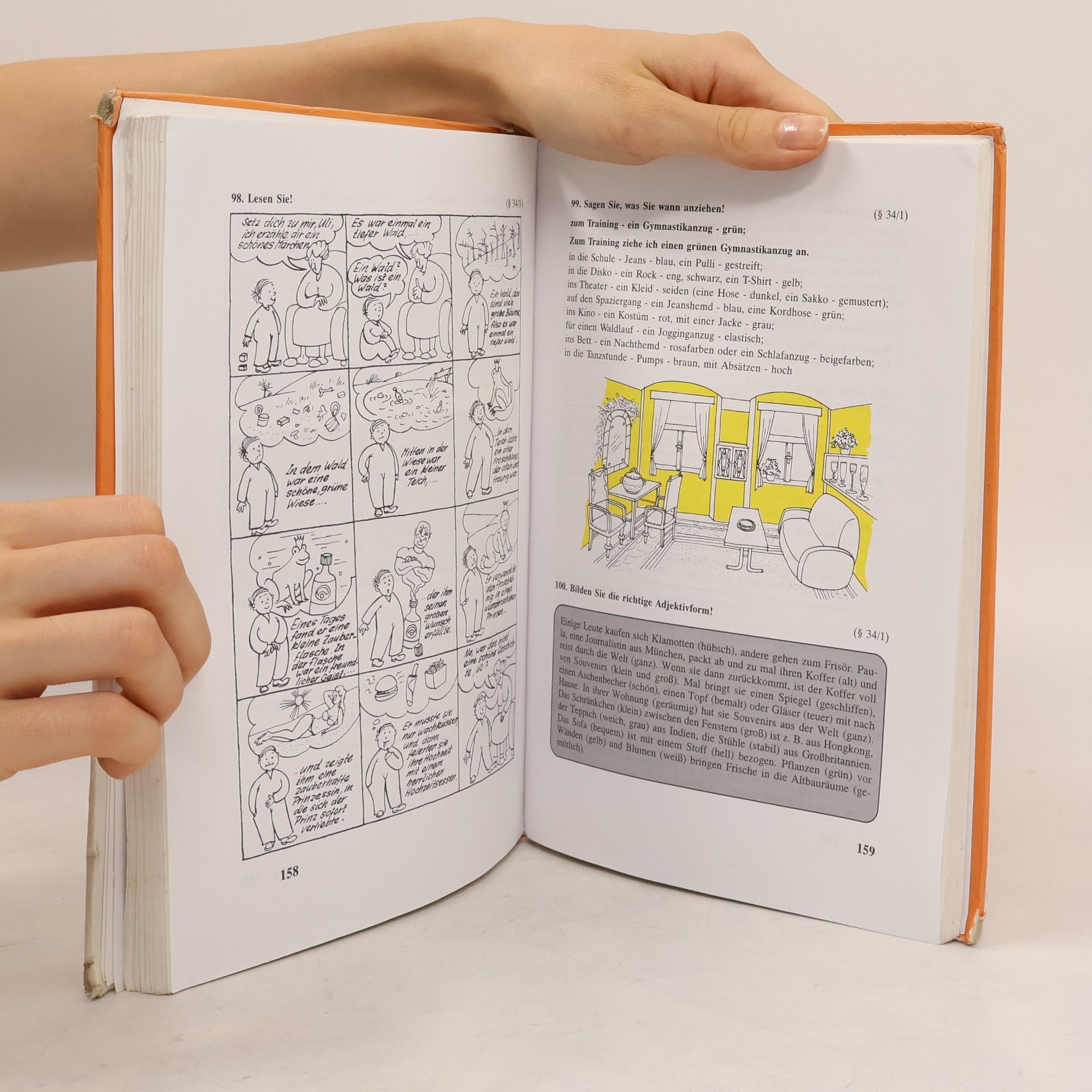 Věra Höppnerová Begleiter : Übungsgrammatik zum Lehrbuch Deutsch für Gymnasien