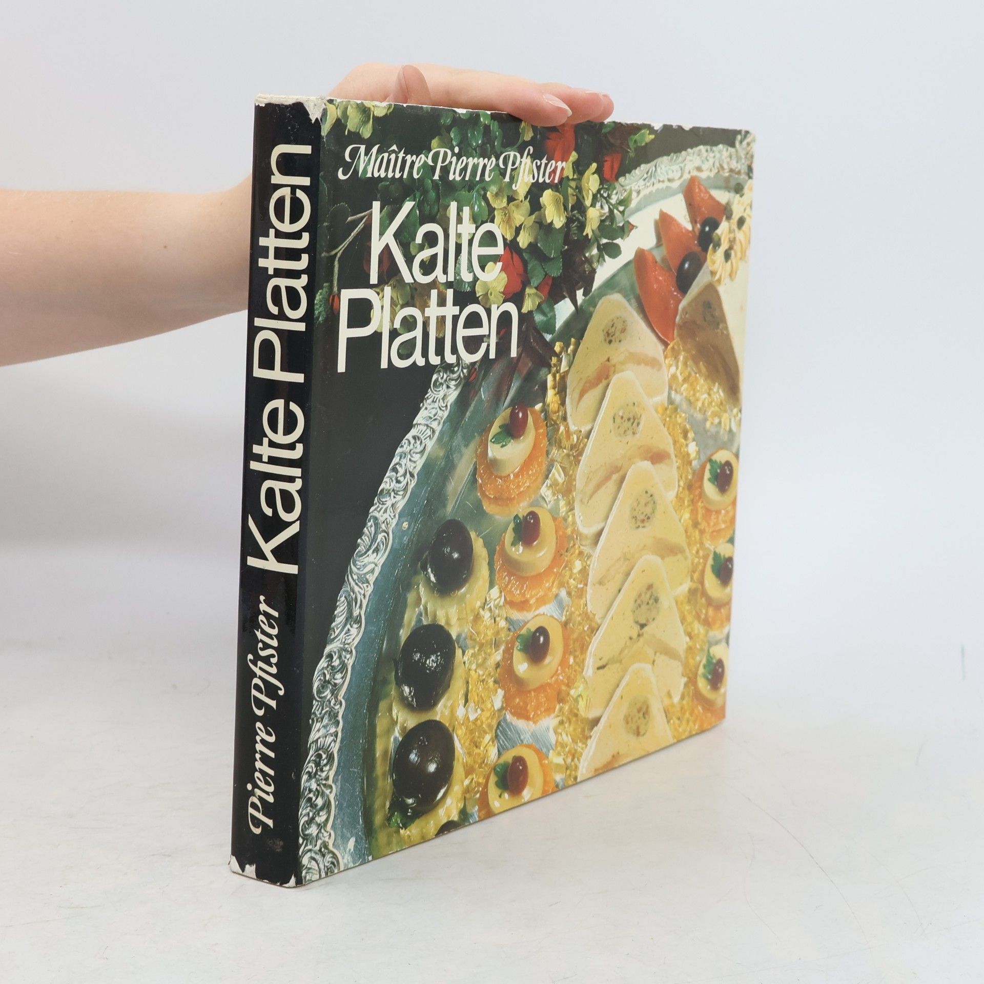 Kolektiv autorů Kalte Platten