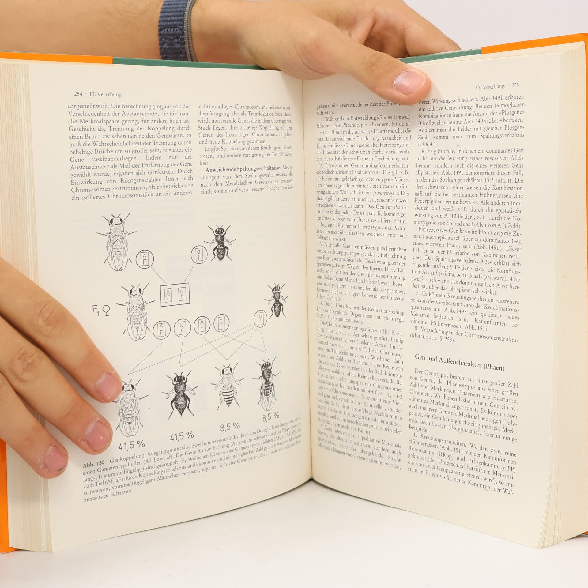 Adolf Remane Kurzes Lehrbuch der Zoologie
