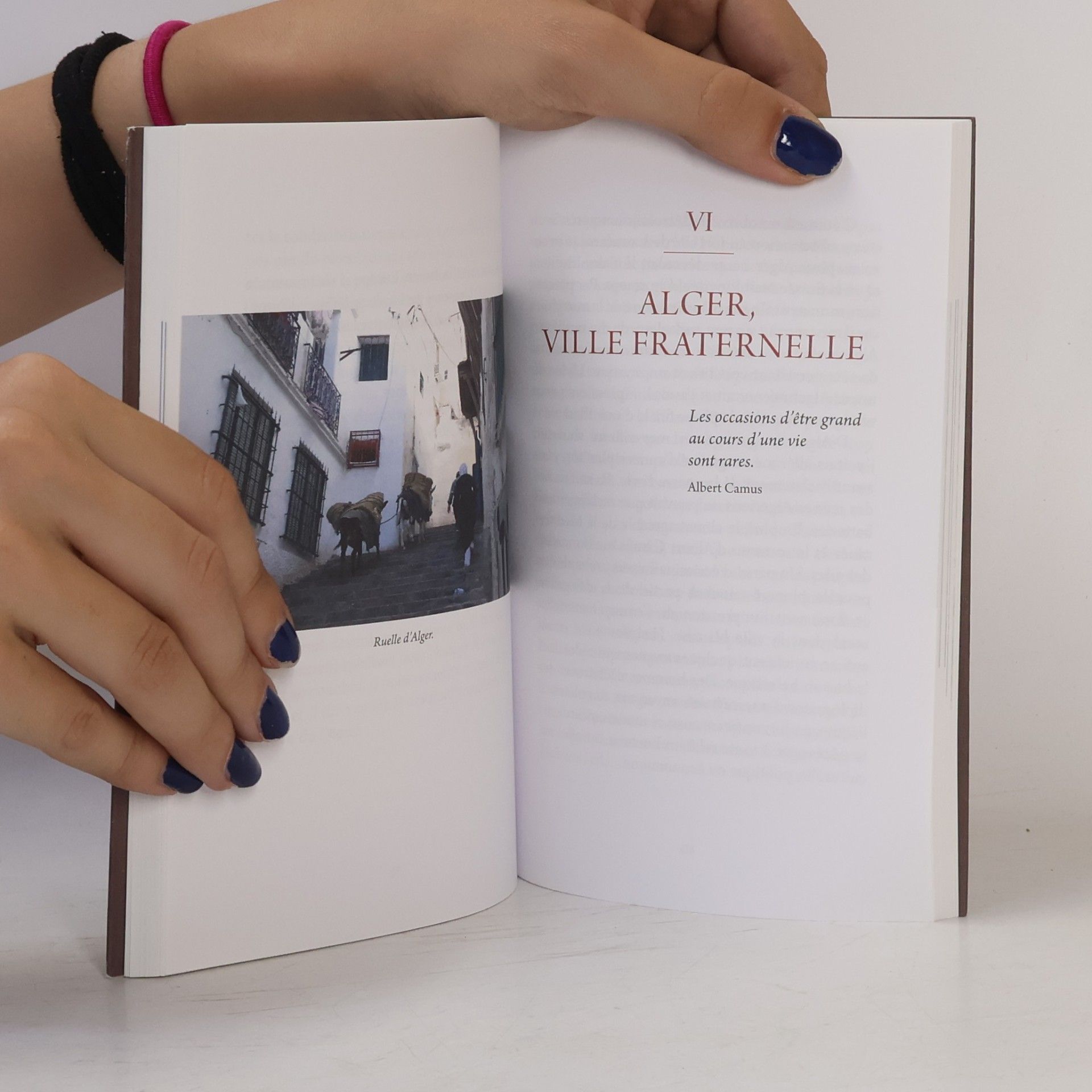 Michel Moret Rêver et Travailler: De l'édition considérée comme un voyage