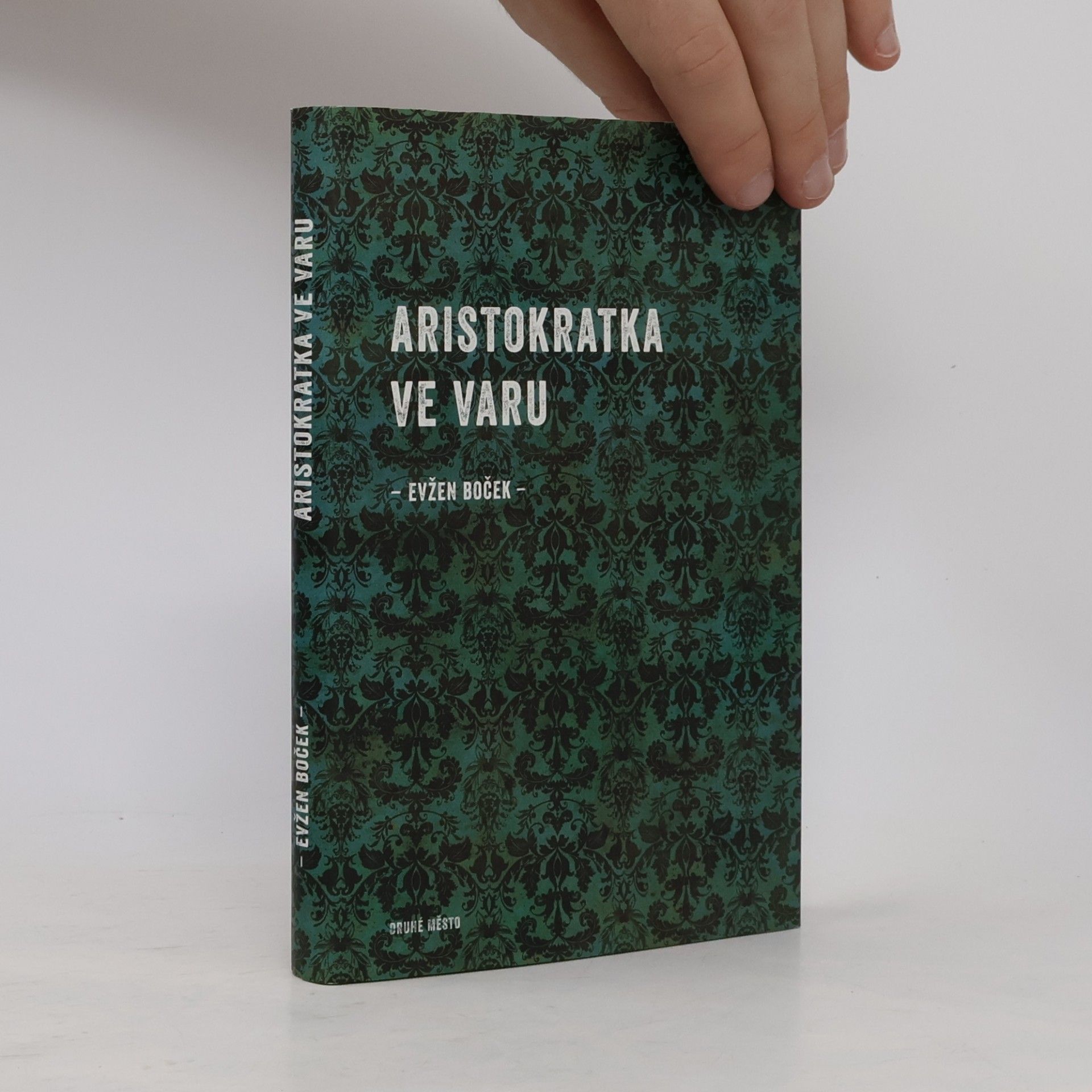Evžen Boček Aristokratka ve varu