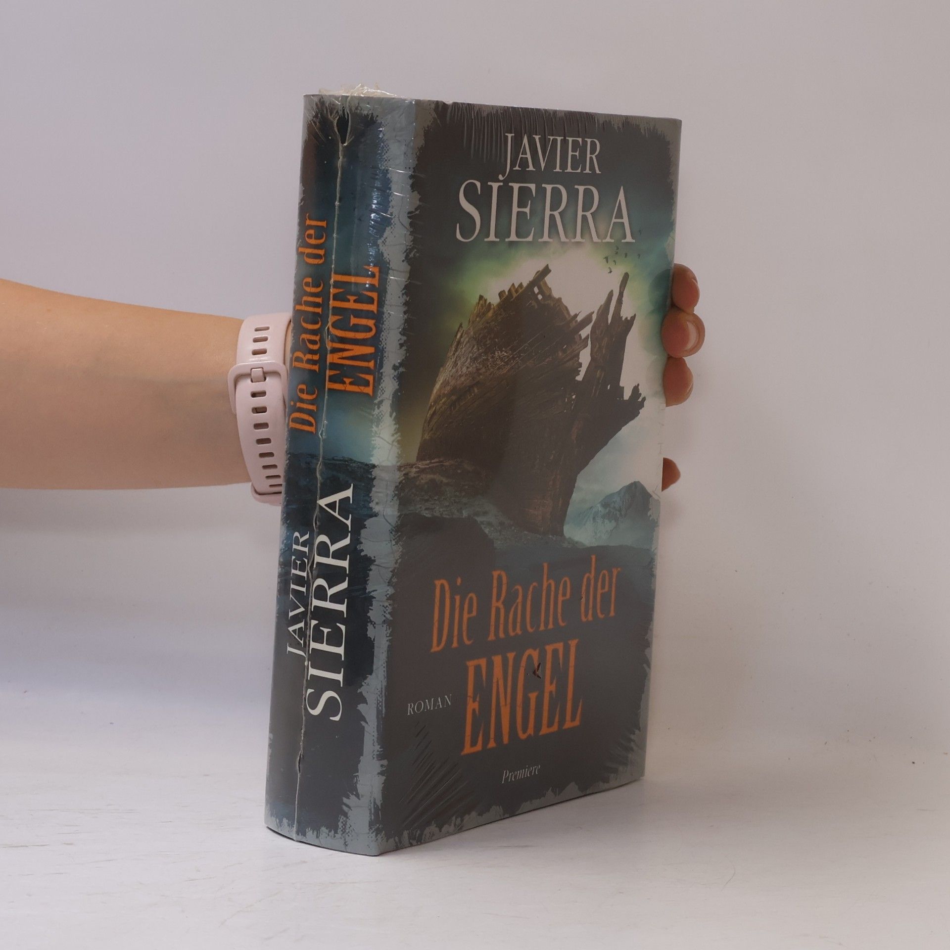 Javier Sierra Die Rache der Engel