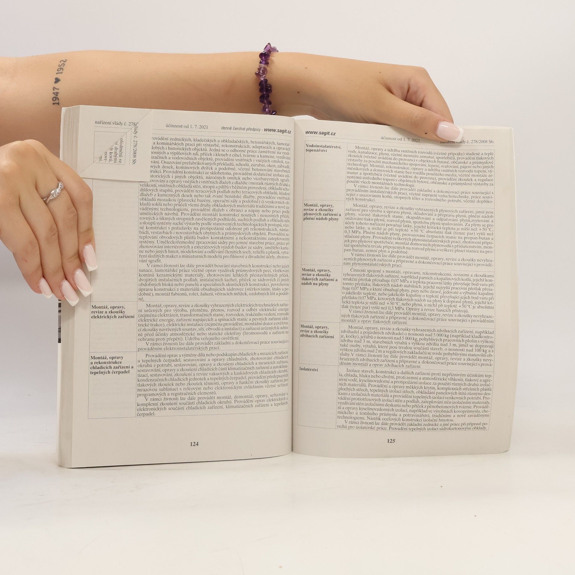 Autorenkollektiv Živnostenské podnikání: Předpisy regulující podnikání