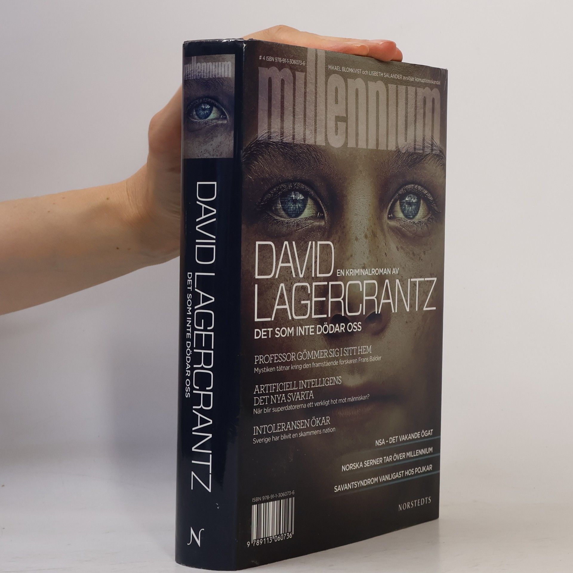 David Lagercrantz Millennium - 4: Det som inte dödar oss