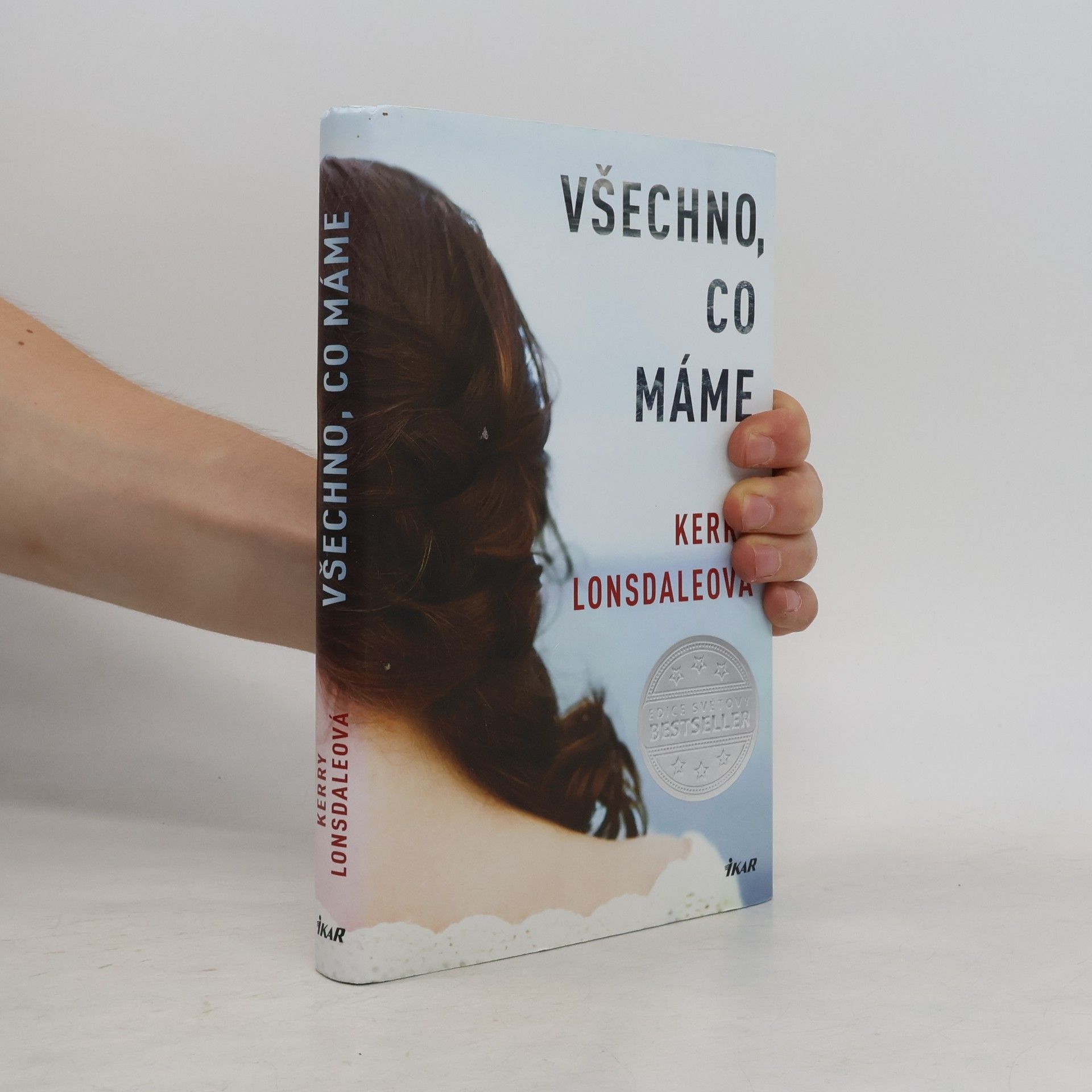 Kerry Lonsdale Všechno, co máme