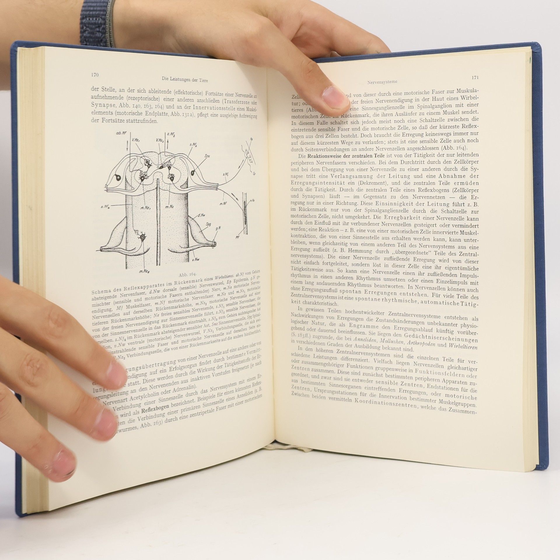 Alfred Kühn Grundriß der allgemeinen Zoologie