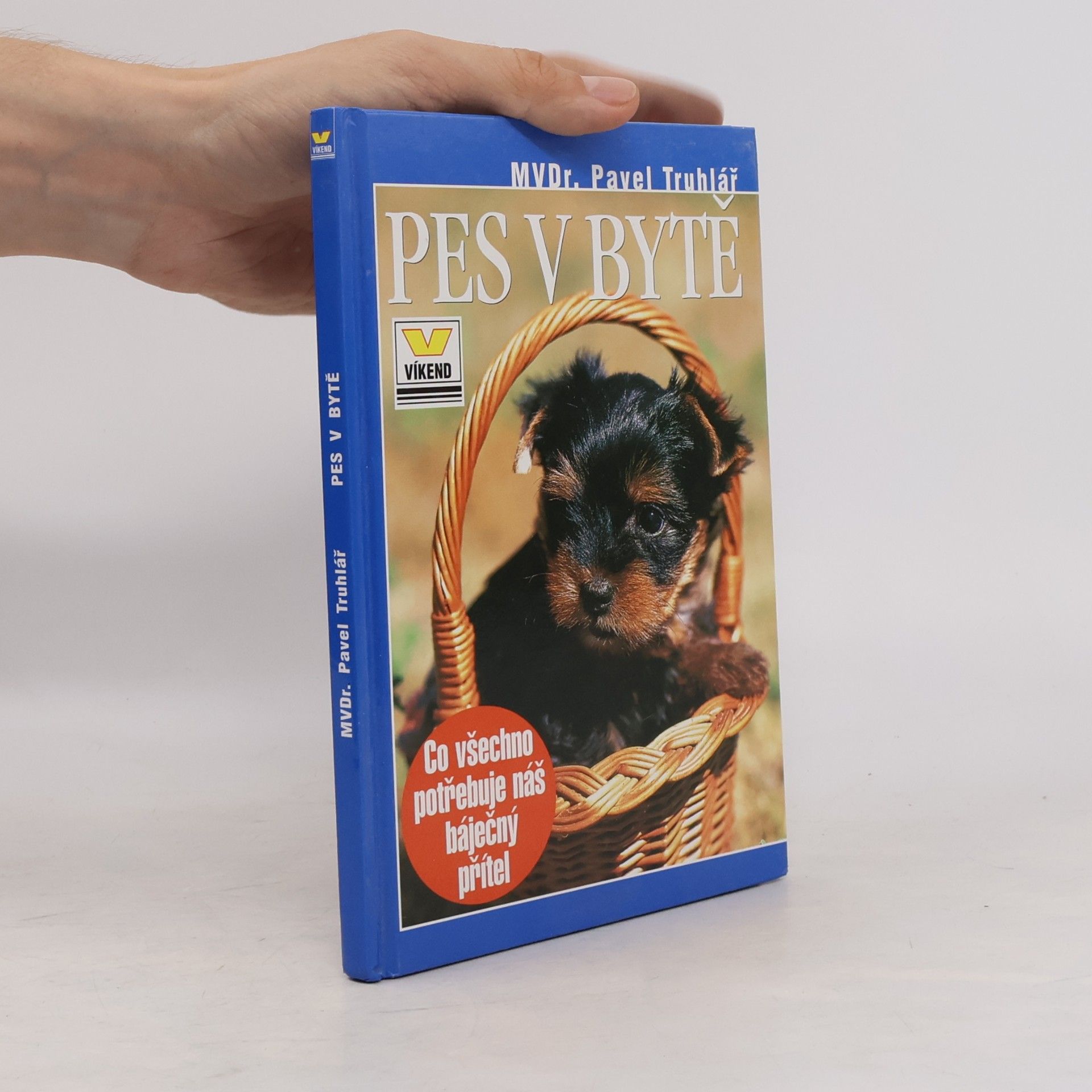 Pes v bytě