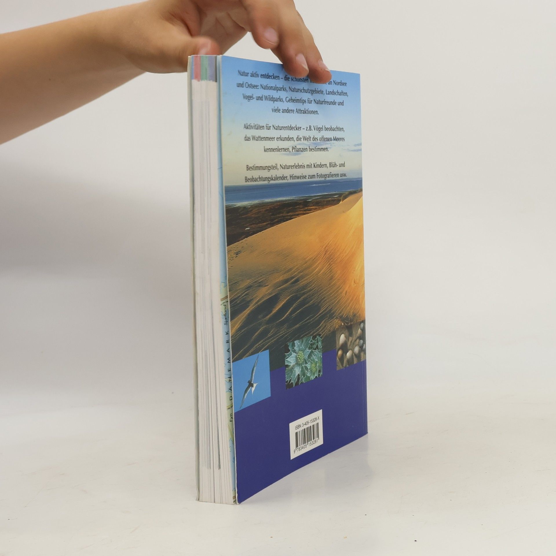 Eckart Pott Der große BLV-Naturführer Nordsee und Ostsee