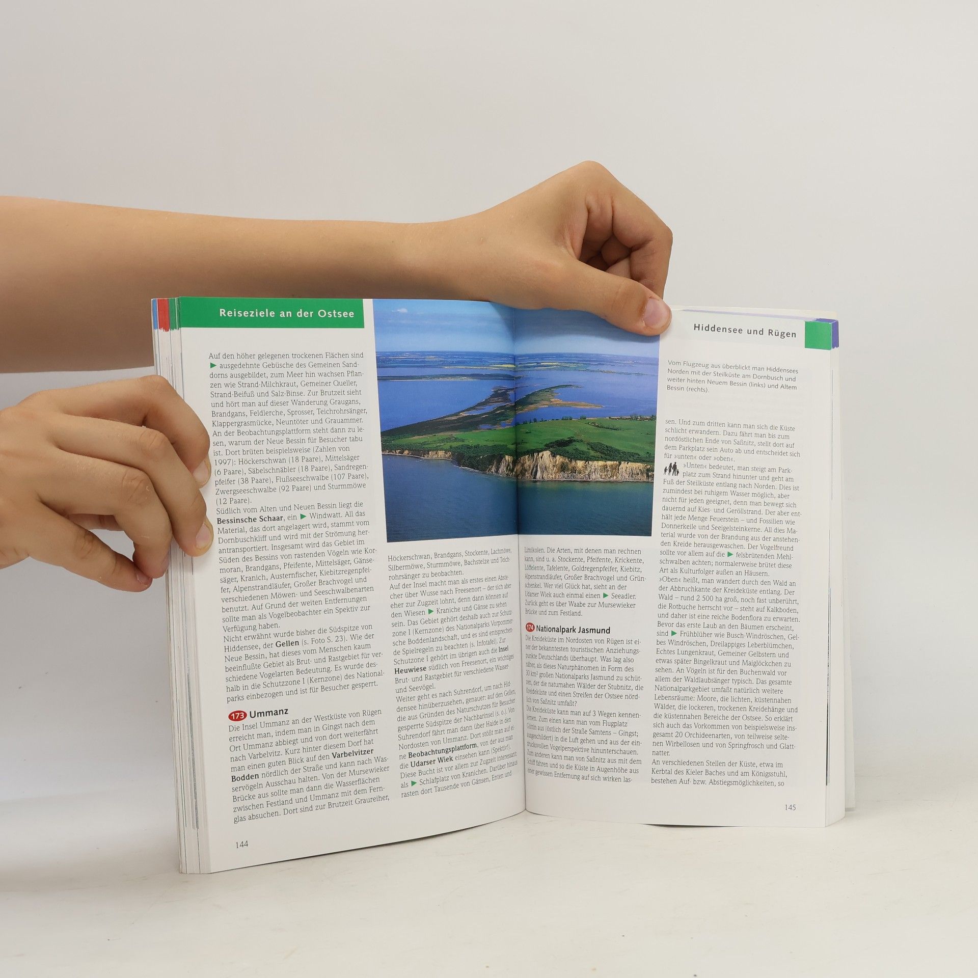 Eckart Pott Der große BLV-Naturführer Nordsee und Ostsee