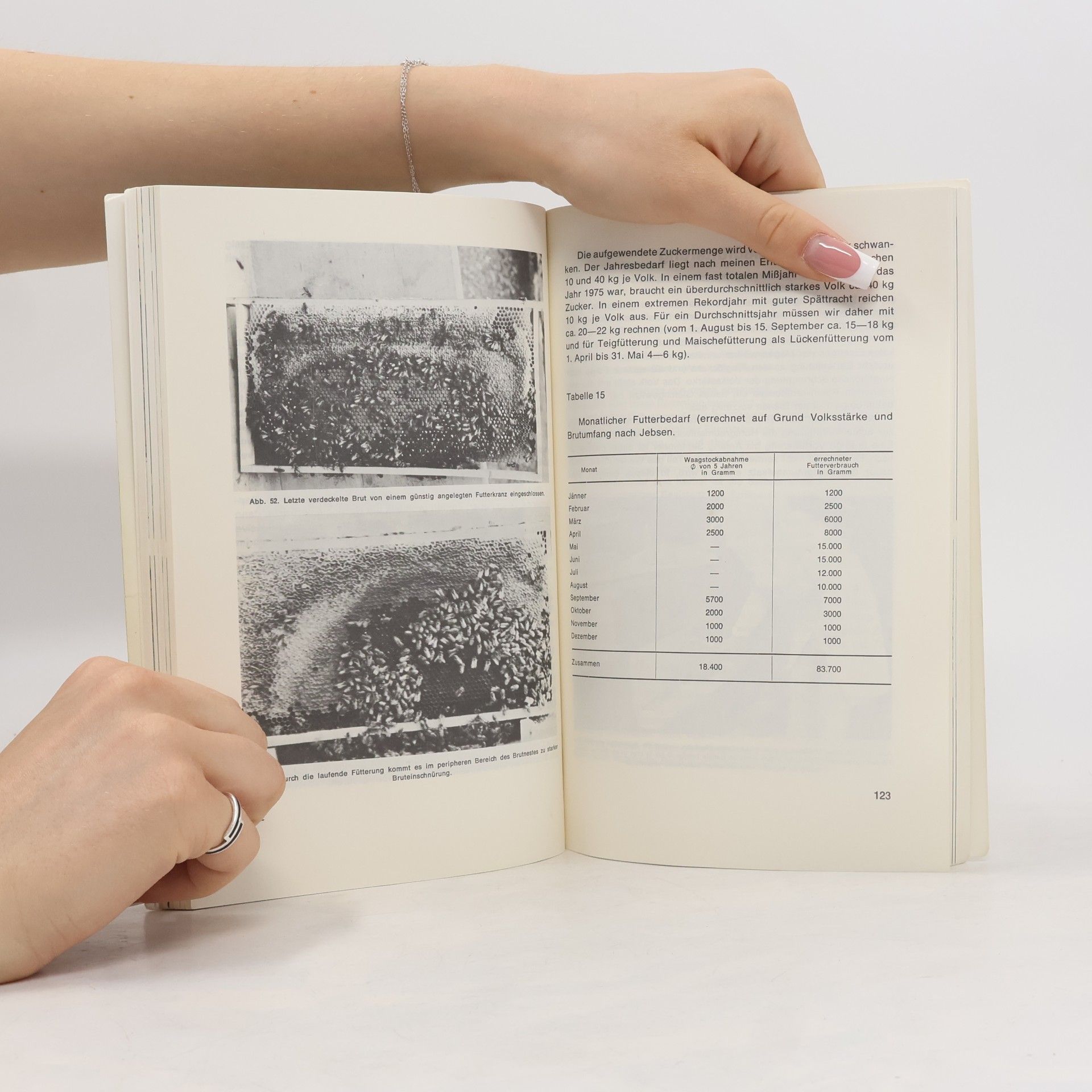 Josef Bretschko Der Magazinimker