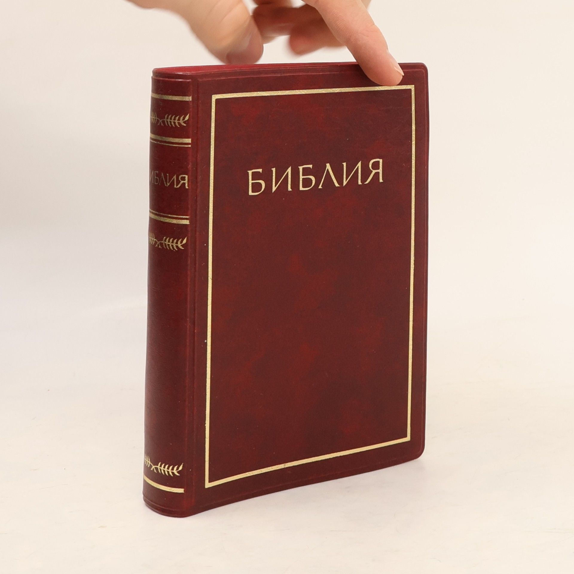 Kolektív autorov Библия