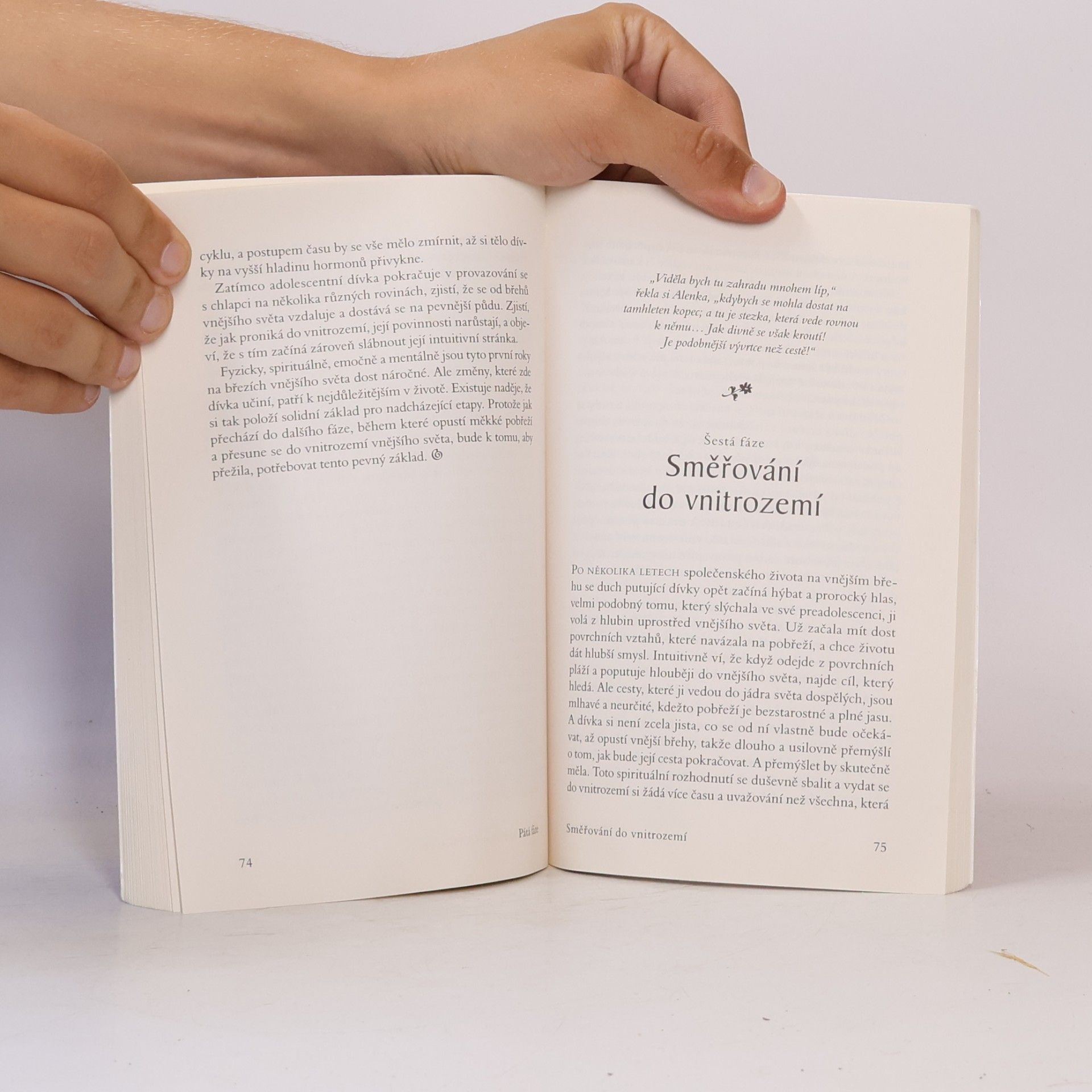 Kristi Meisenbach Boylan Sedm posvátných fází menarché : spirituální cesta dospívající dívky