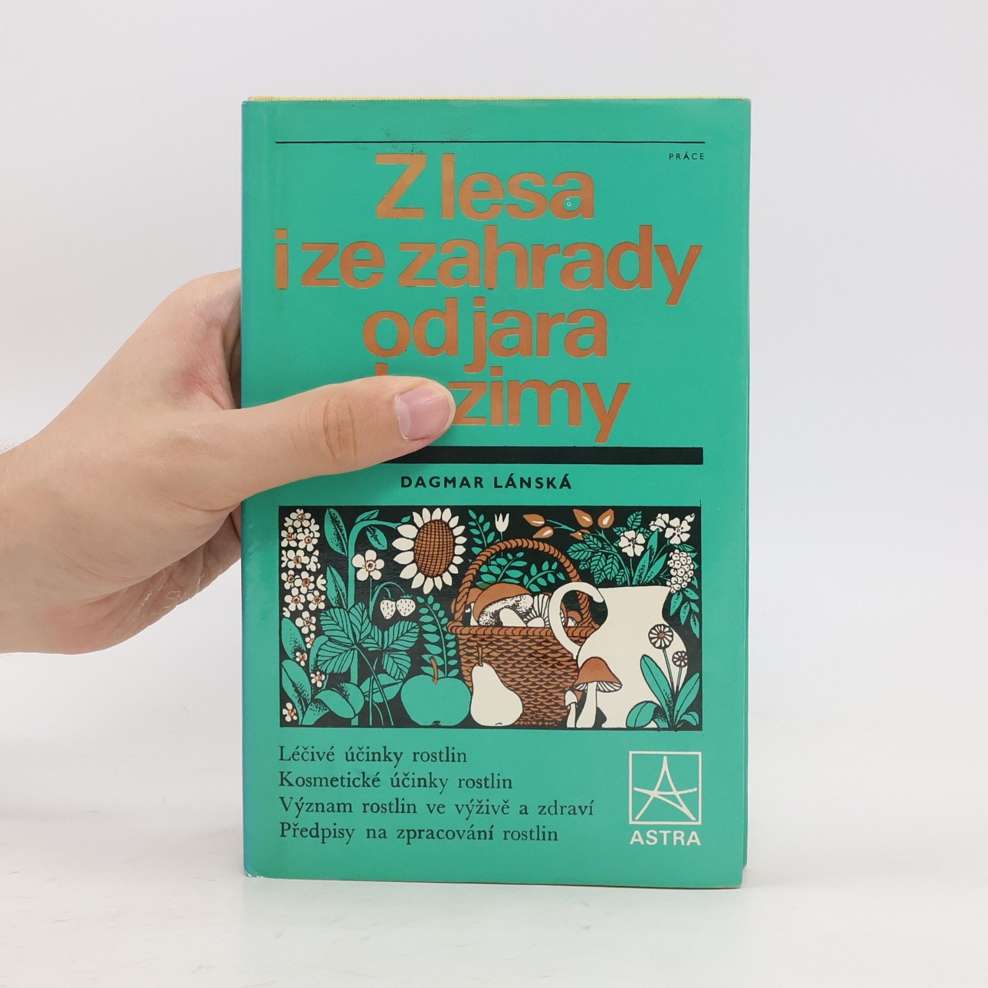 Dagmar Lánská Z lesa i ze zahrady od jara do zimy