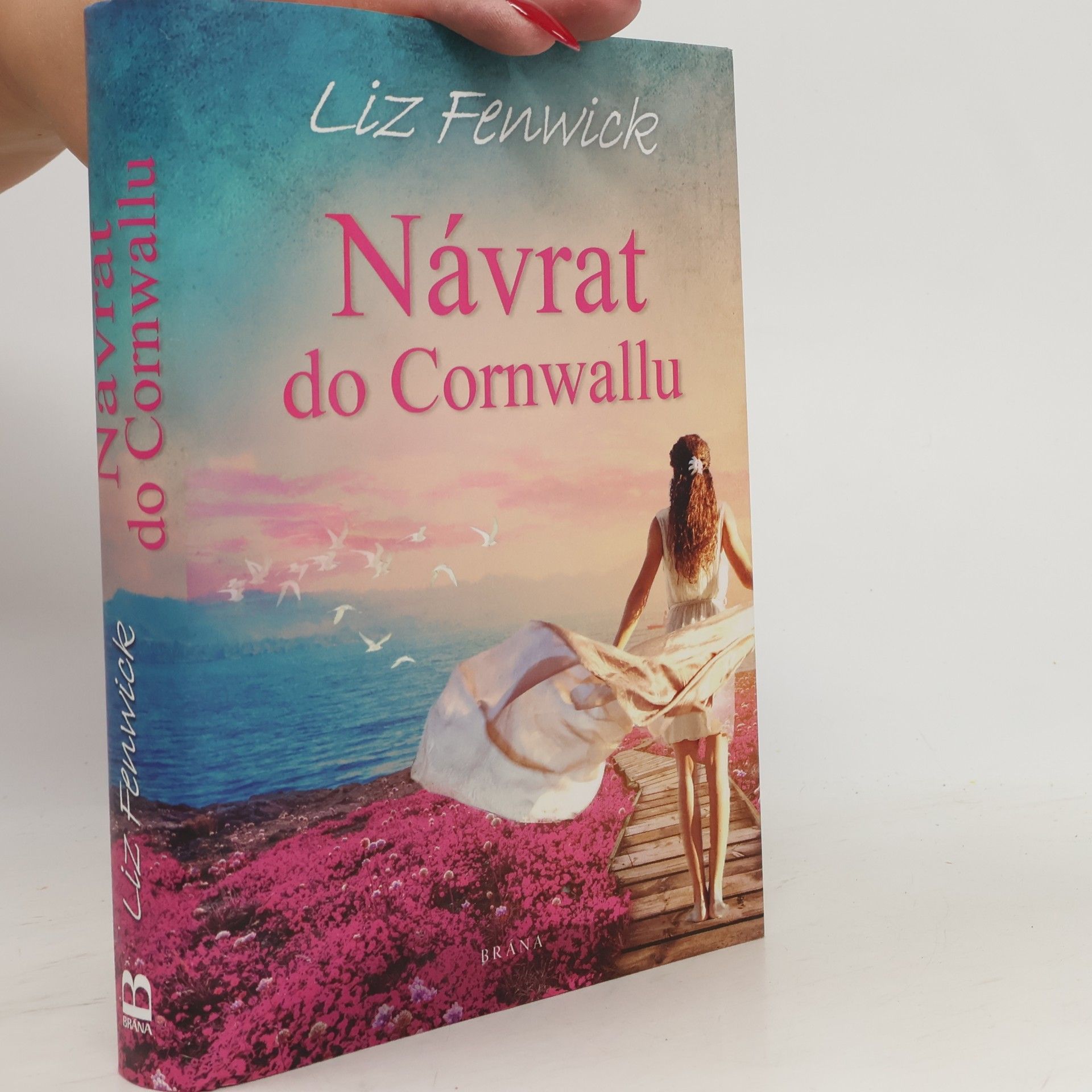Liz Fenwick Návrat do Cornwallu