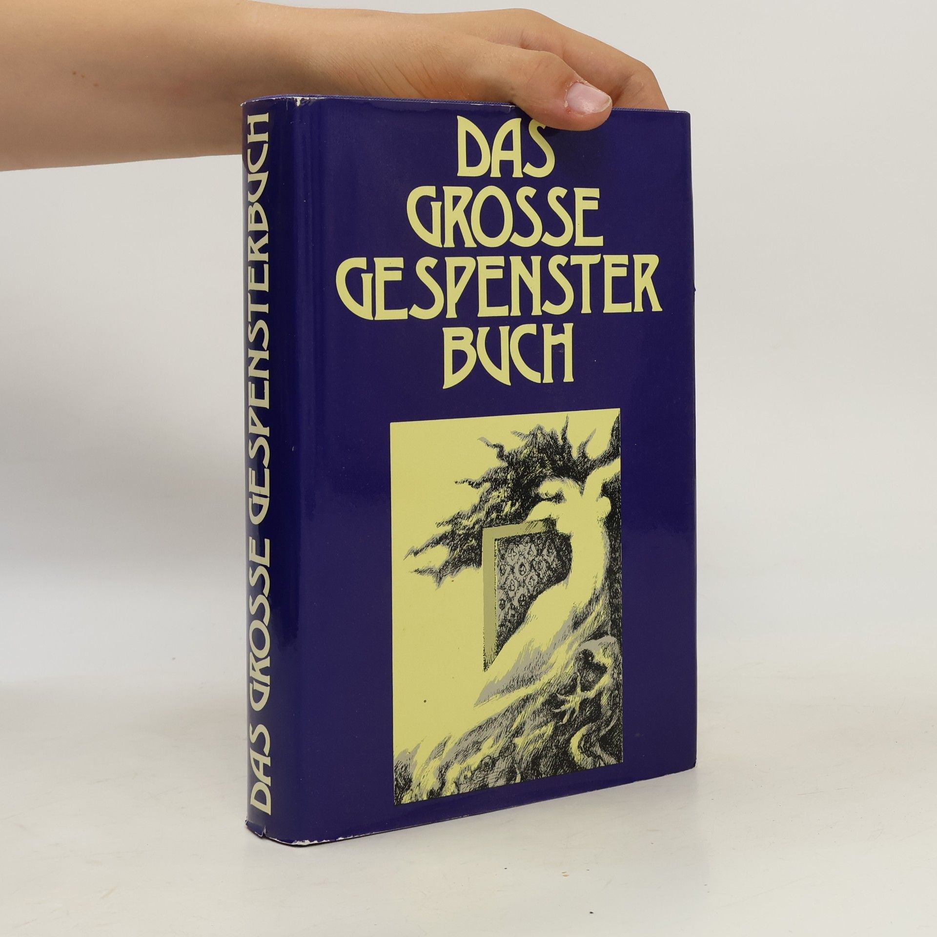 Eva Raupp Schliemann Das grosse Gespensterbuch