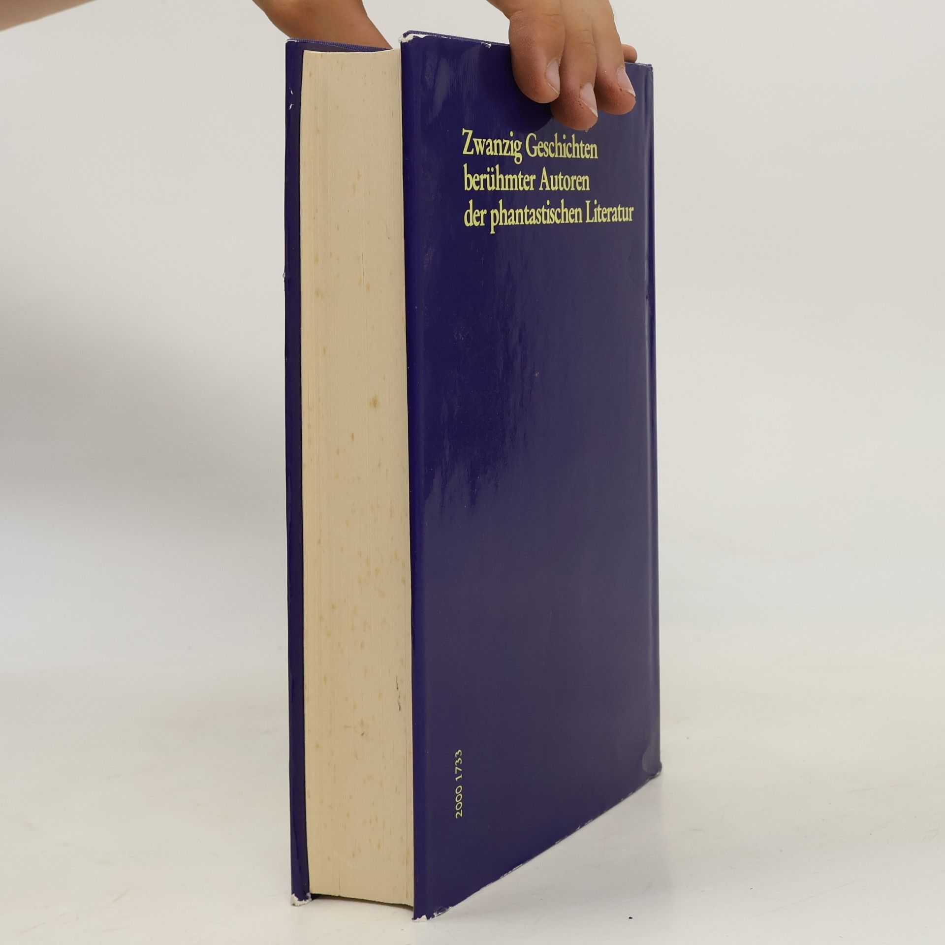 Eva Raupp Schliemann Das grosse Gespensterbuch