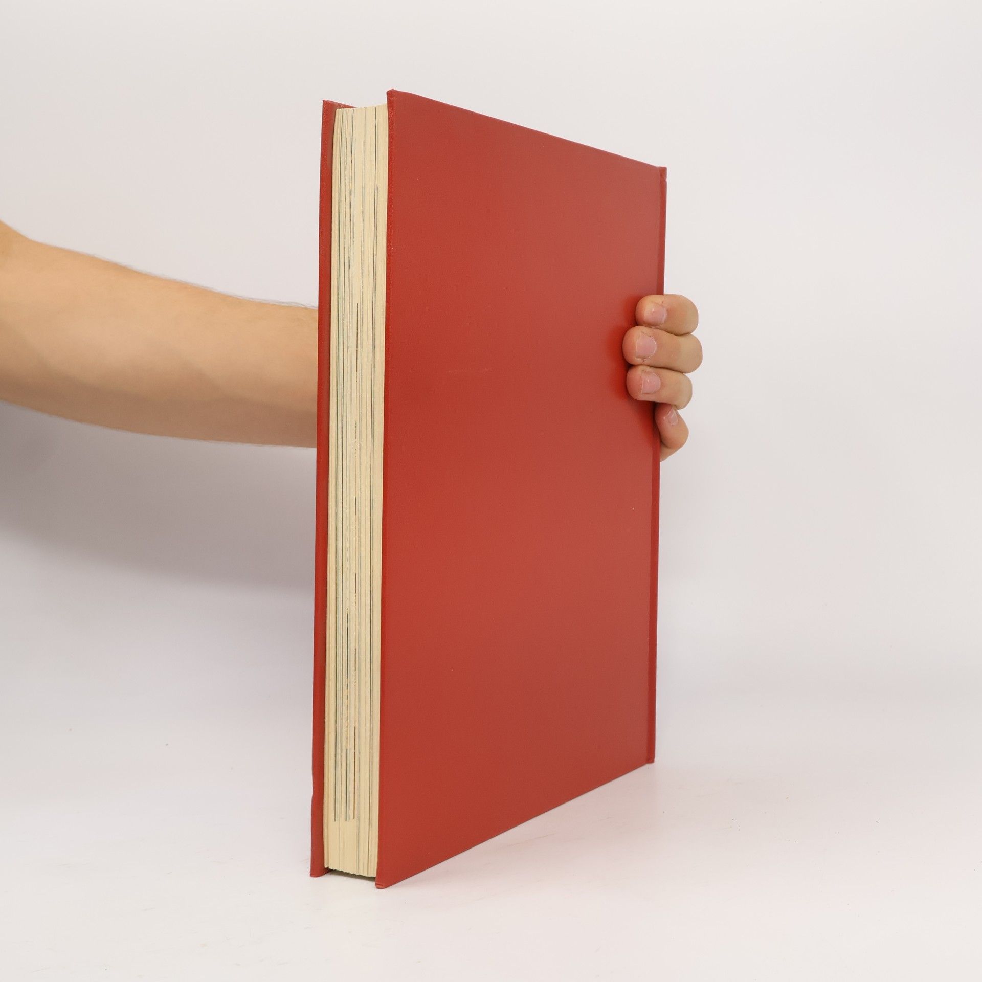 Heinz Bogner Das große praktische Handarbeitsbuch