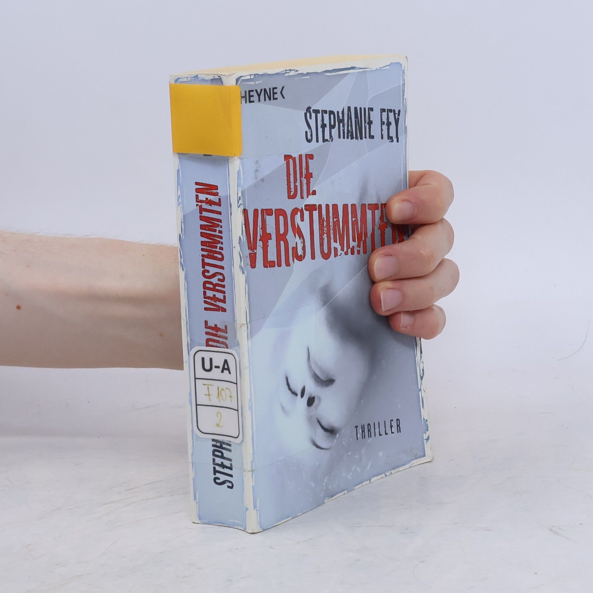 Stephanie Fey Die Verstummten