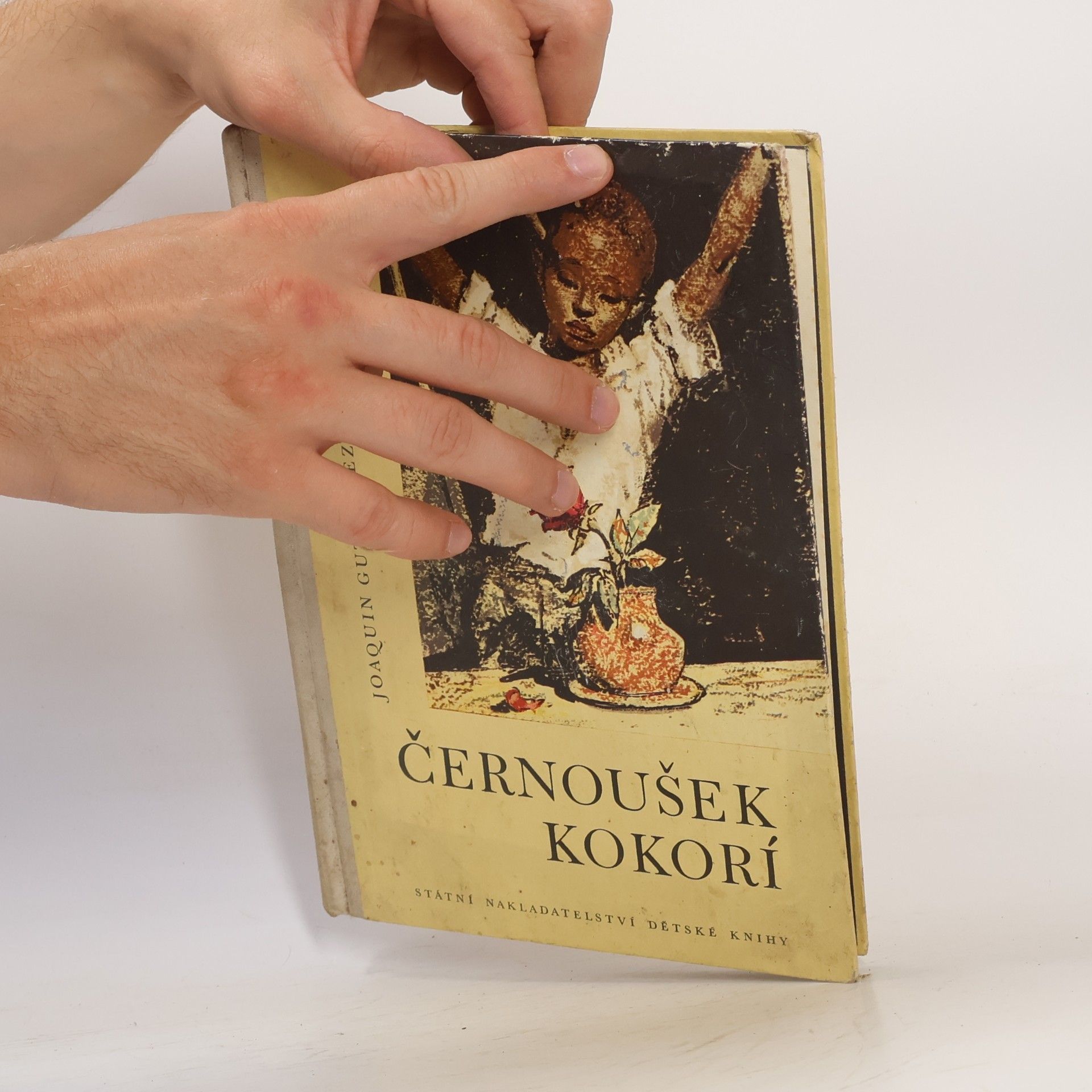 Gutierrez Joaquin Černoušek Kokorí