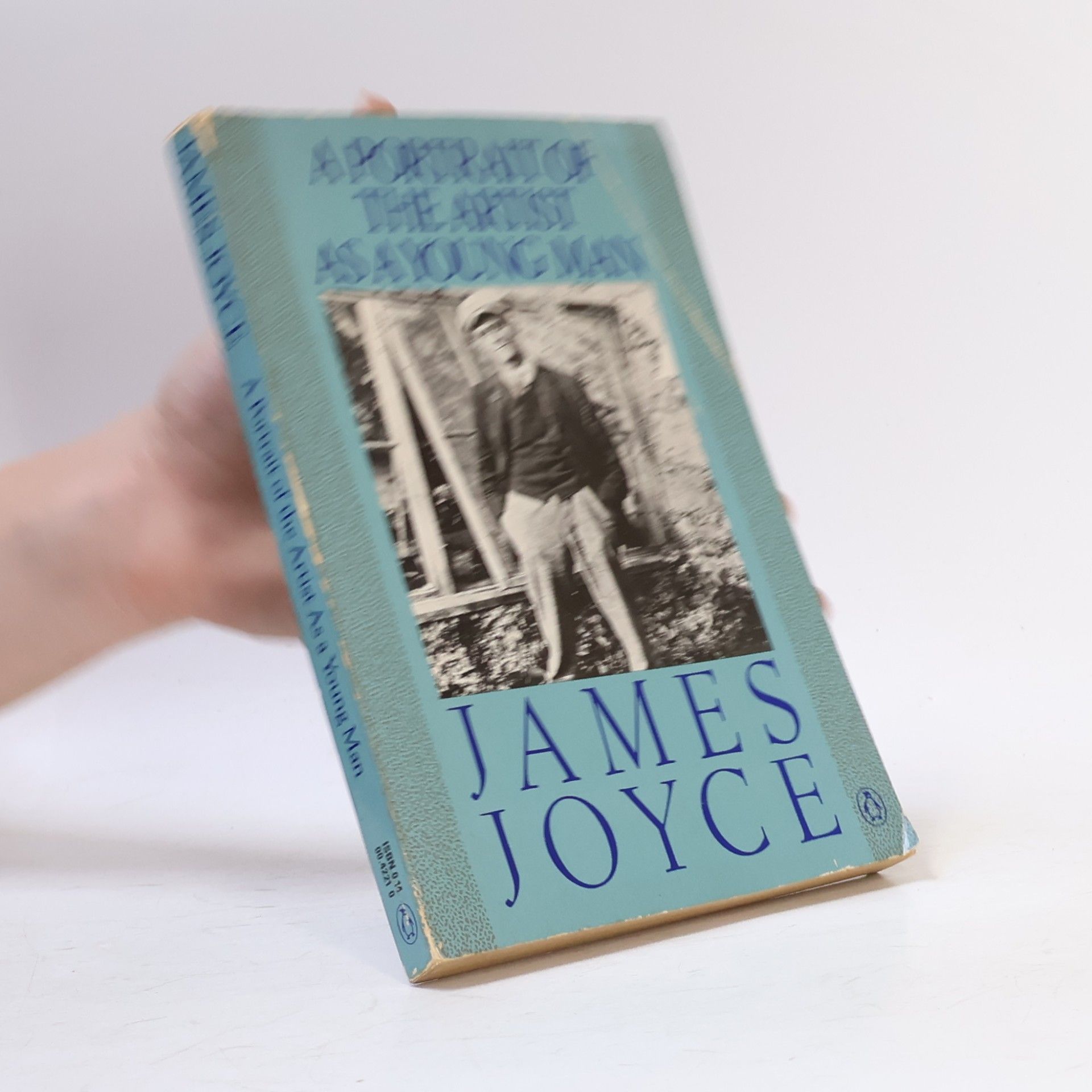 James Joyce A Portrait of the Artist as a Young Man